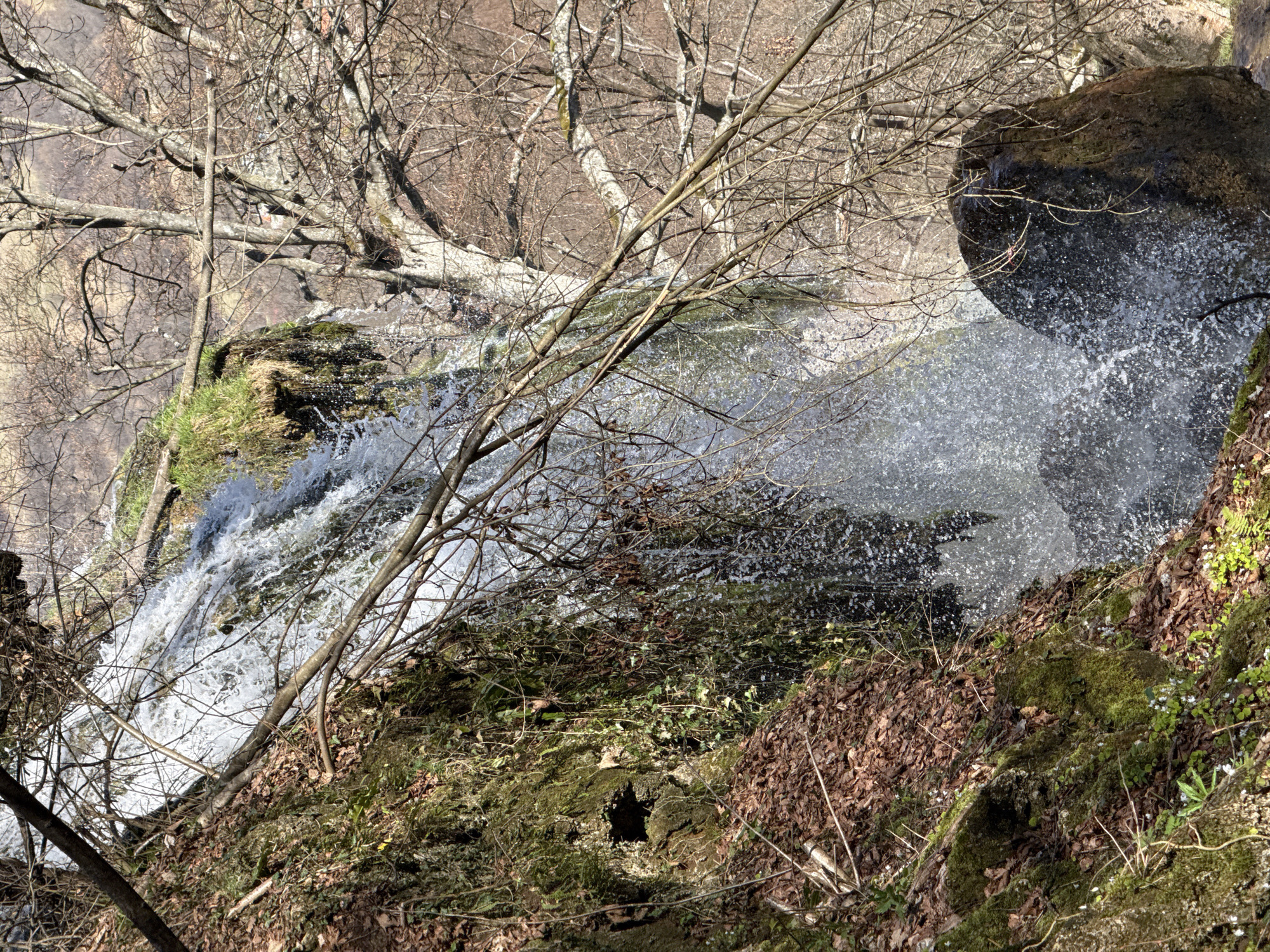 The image captures a waterfall cascading over rocks and vegetation, likely in a natural area near Ribaritsa, Bulgaria, based on the availability of images taken near Ribaritsa with similar scenery. The view is from above, looking down at the waterfall. The water flows rapidly, creating a blurred effect due to motion. There are bare trees and branches in the background and foreground, suggesting either late autumn or early spring. Moss and fallen leaves cover the surrounding terrain. A large rock formation is visible on the right side of the image where the water plunges over the edge.