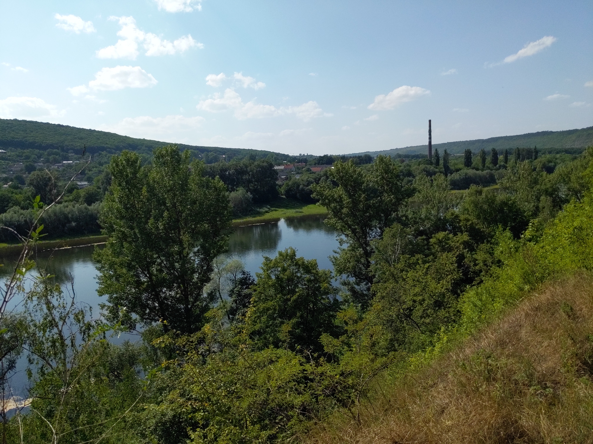 A wide shot captures a natural landscape under a bright, blue sky with scattered white clouds. In the foreground, a steep grassy slope with dry, brown grass dominates the right side of the frame. The slope transitions into dense green foliage and trees that obscure the lower portion of a calm, reflective river or body of water.
The river, occupying the left and central-midground, is surrounded by lush green trees of varying heights and densities. On the far bank of the river, a small, somewhat distant settlement with houses and buildings is visible, nestled amongst more trees. Beyond the settlement and the trees, rolling, tree-covered hills form the background.
Further into the background, on the right side of the frame, a tall, slender, red-brick industrial chimney stands prominently against the sky. A line of tall, thin trees stretches out from near the chimney towards the center of the background. The scene appears to be a rural or semi-rural area, likely in or near the city of Zalishchyky, Ukraine, given the presence of the river and the distinct landscape. There are no people or animals visible in the image.