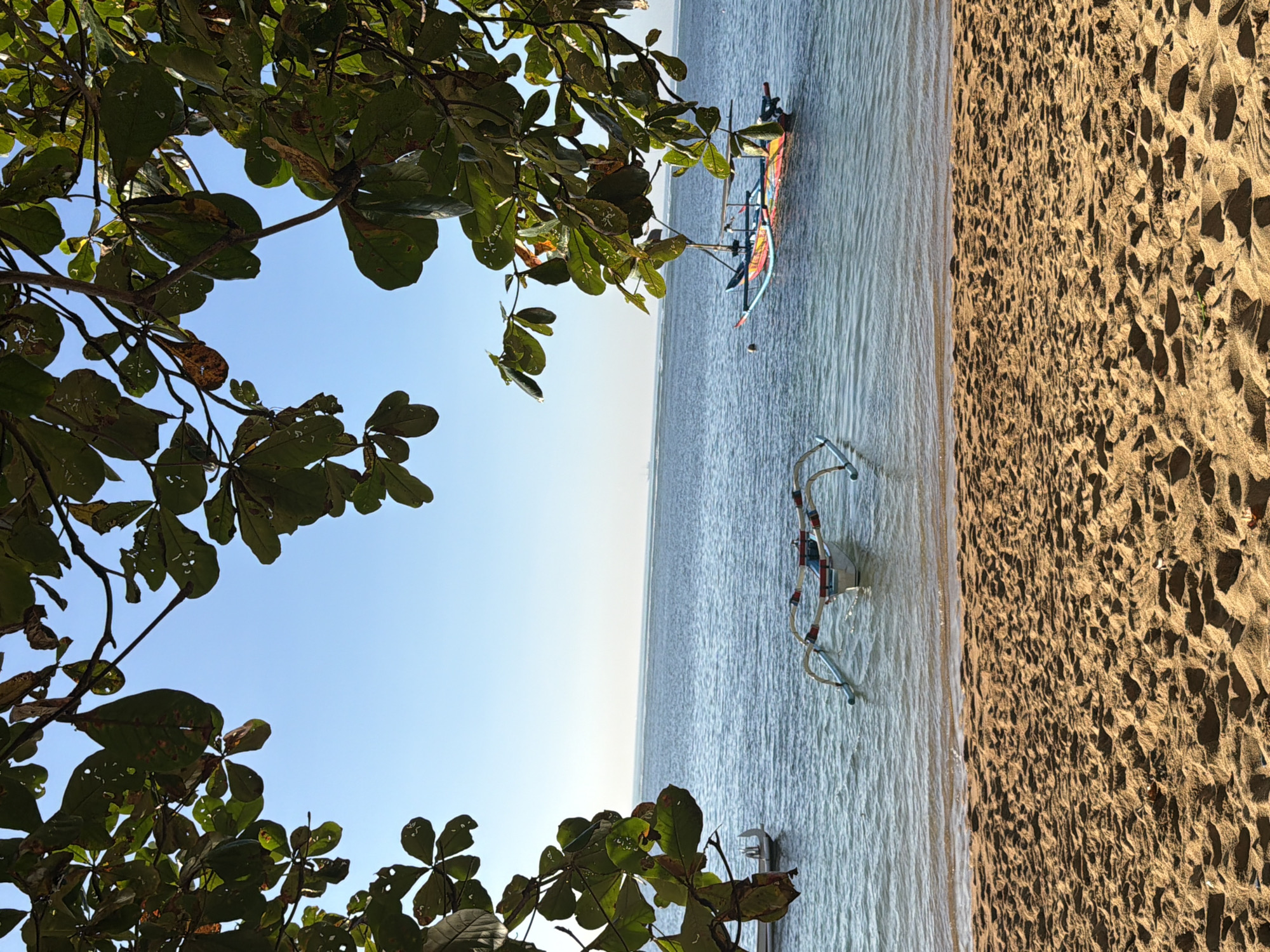 The image depicts a serene beach scene in Denpasar, Indonesia. In the foreground, a stretch of golden sand is visible, textured with subtle undulations. The clear blue ocean stretches out towards the horizon, with gentle waves lapping at the shore. Two traditional Indonesian outrigger boats are anchored in the shallow water. One boat, closer to the shore, is white with distinctive outrigger arms painted red and blue. The second boat, further out, is more vibrantly colored with a multi-hued hull and a canopy. The scene is framed by the lush green leaves and branches of a tree hanging into the top of the image, casting dappled shadows. The sky above is a clear, bright blue. The overall impression is one of tranquility and natural beauty, characteristic of a tropical coastal environment.