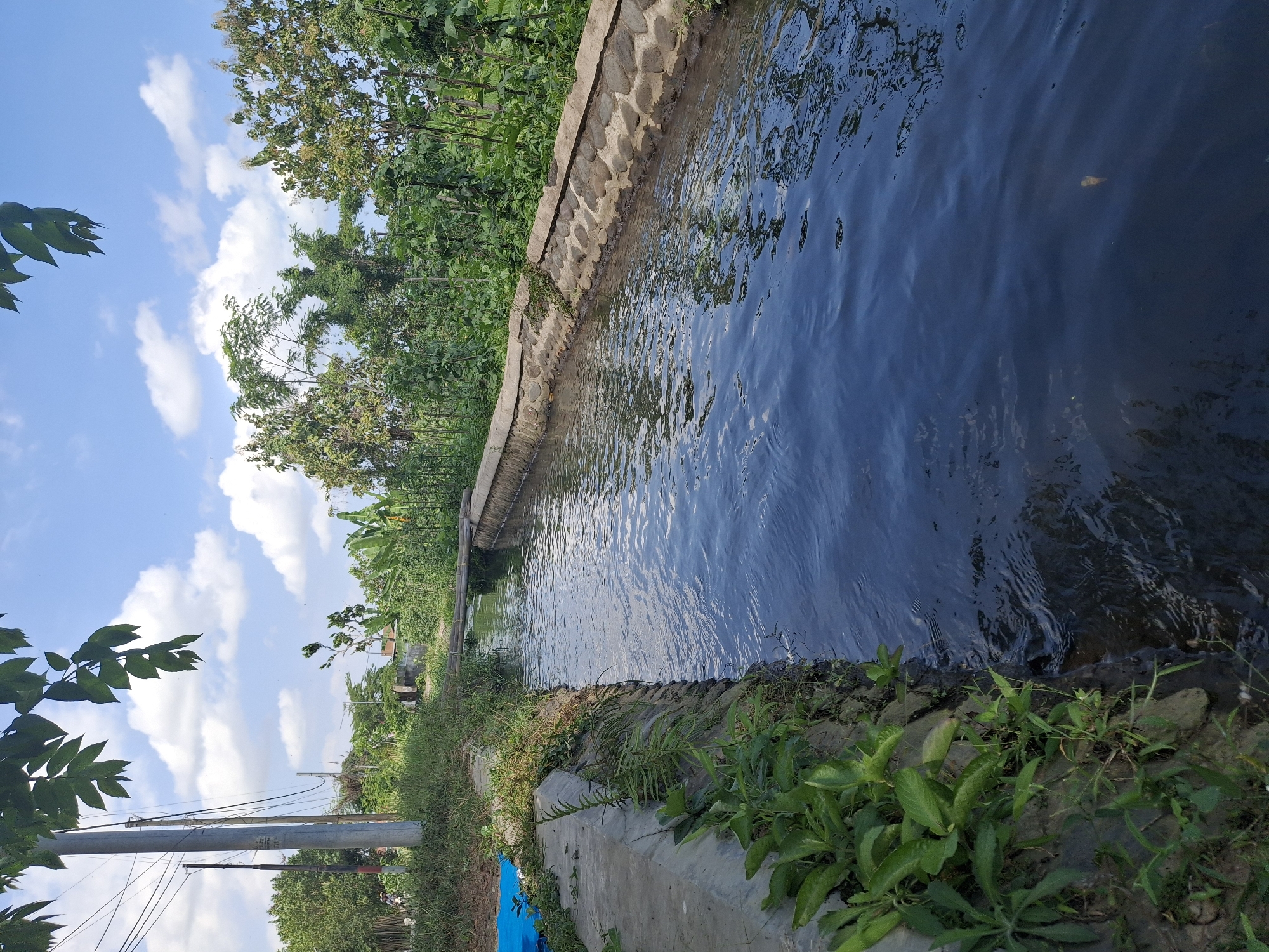 The image depicts a narrow canal with dark, flowing water in Jogotrunan, Indonesia. The canal is bordered by concrete on the left and a stone embankment on the right, with lush green vegetation growing along both sides. In the distance, a simple bamboo bridge crosses the canal. The background features trees, utility poles, and a bright blue sky with scattered white clouds, suggesting a daytime setting. There are no people visible in the image.