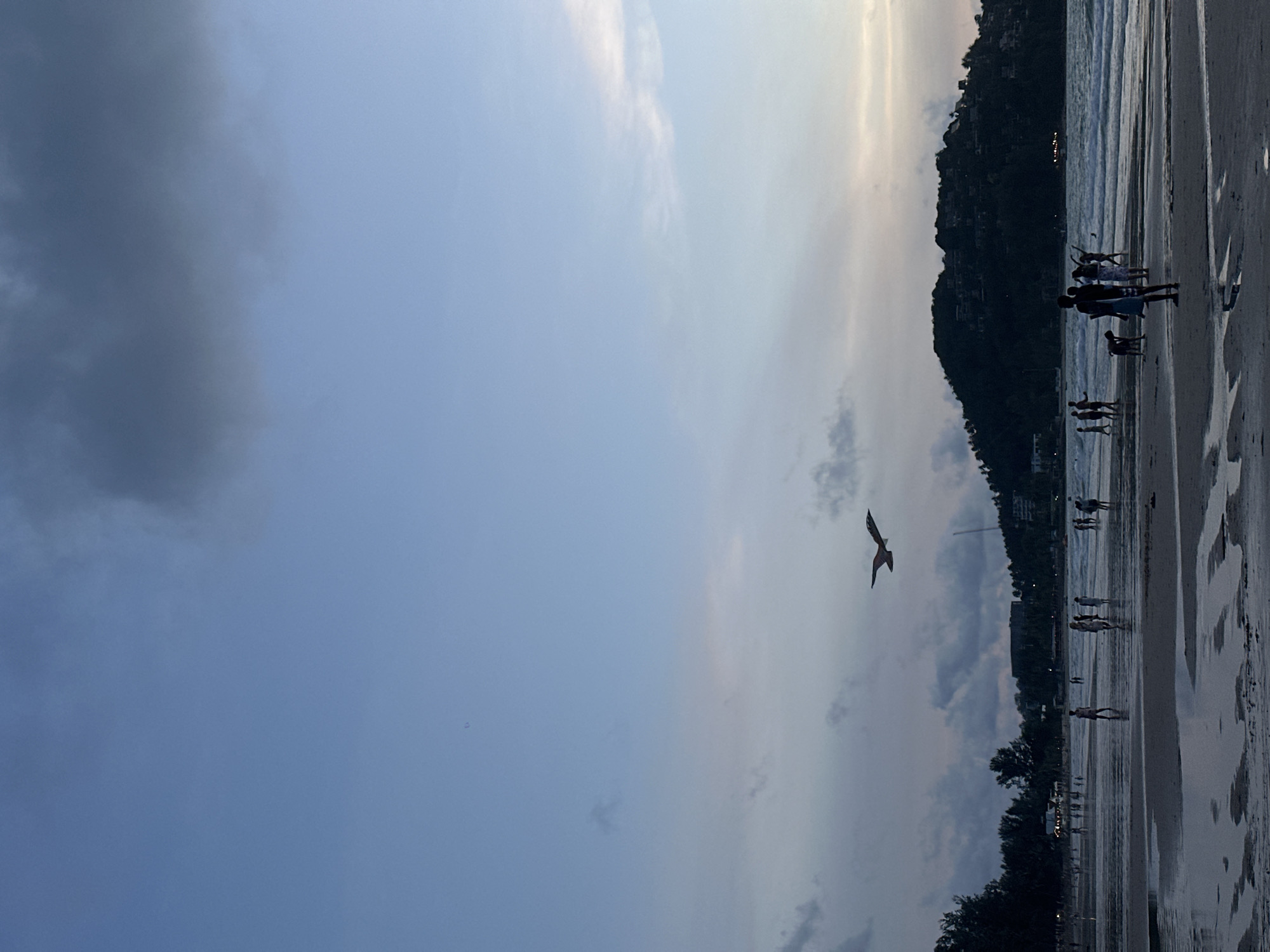 The image depicts a beach scene in Choeng Thale, Thailand, during what appears to be dusk or a cloudy day. The sky is a gradient of pale blue to darker grey, with some clouds visible. A bird is in flight in the upper central portion of the image, silhouetted against the sky. The beach itself is wet and reflective, indicating recent tides or rain. Several people are scattered across the beach and in the shallow water, some walking and others engaged in activities. In the background, a densely vegetated hill with buildings on its slopes overlooks the ocean, which has moderate waves. The overall atmosphere is serene and slightly muted due to the lighting conditions.