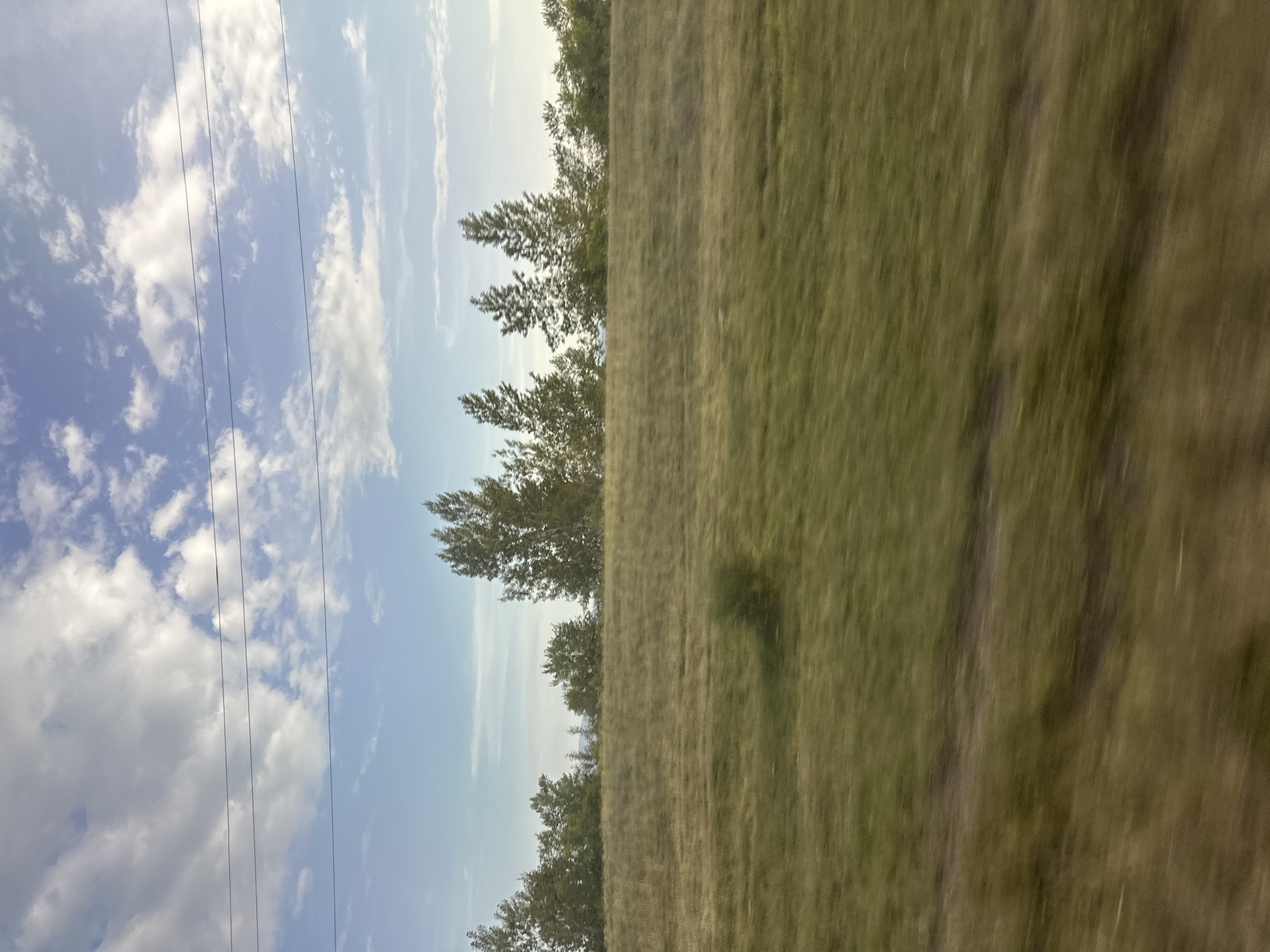 The image depicts a rural landscape in Novonikolayevka, Russia. The scene is divided horizontally, with the left side dominated by a bright blue sky filled with fluffy white clouds and several power lines stretching across the frame. The right side of the image features a grassy field, appearing somewhat dry and brown in patches, with a line of trees running along the horizon. The trees are varied in size and density, with some appearing more full than others. The overall impression is that of a sunny day, likely in the late morning or early afternoon given the brightness of the sky and the quality of light. The image appears to have been taken from a moving vehicle, as evidenced by the motion blur in the grassy field. There are no people or specific objects of interest clearly visible, beyond the natural elements of sky, clouds, grass, and trees, and the man-made power lines. The colors are natural and muted, with the green of the grass and the blue of the sky being the most prominent. The scene evokes a sense of open space and the quietude of the countryside. No text is visible in the image.