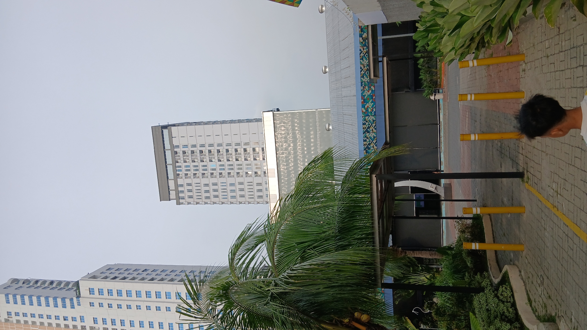 In the City of Medan, Indonesia, two modern high-rise buildings dominate the skyline. The building on the left is taller and white with numerous windows. To its right stands a slightly shorter, grey building with a similar window arrangement and a darker grey roofline. In the foreground, a lush green palm tree with coconuts obstructs the view of a lower, rectangular building with a metal roof and a decorative blue and multicolored facade. The area in front of the lower building appears to be an outdoor walkway or parking area, paved with interlocking gray bricks and marked with yellow lines and bollards. The sky is overcast and a young boy with dark, spiky hair is visible from the back, looking towards the buildings.