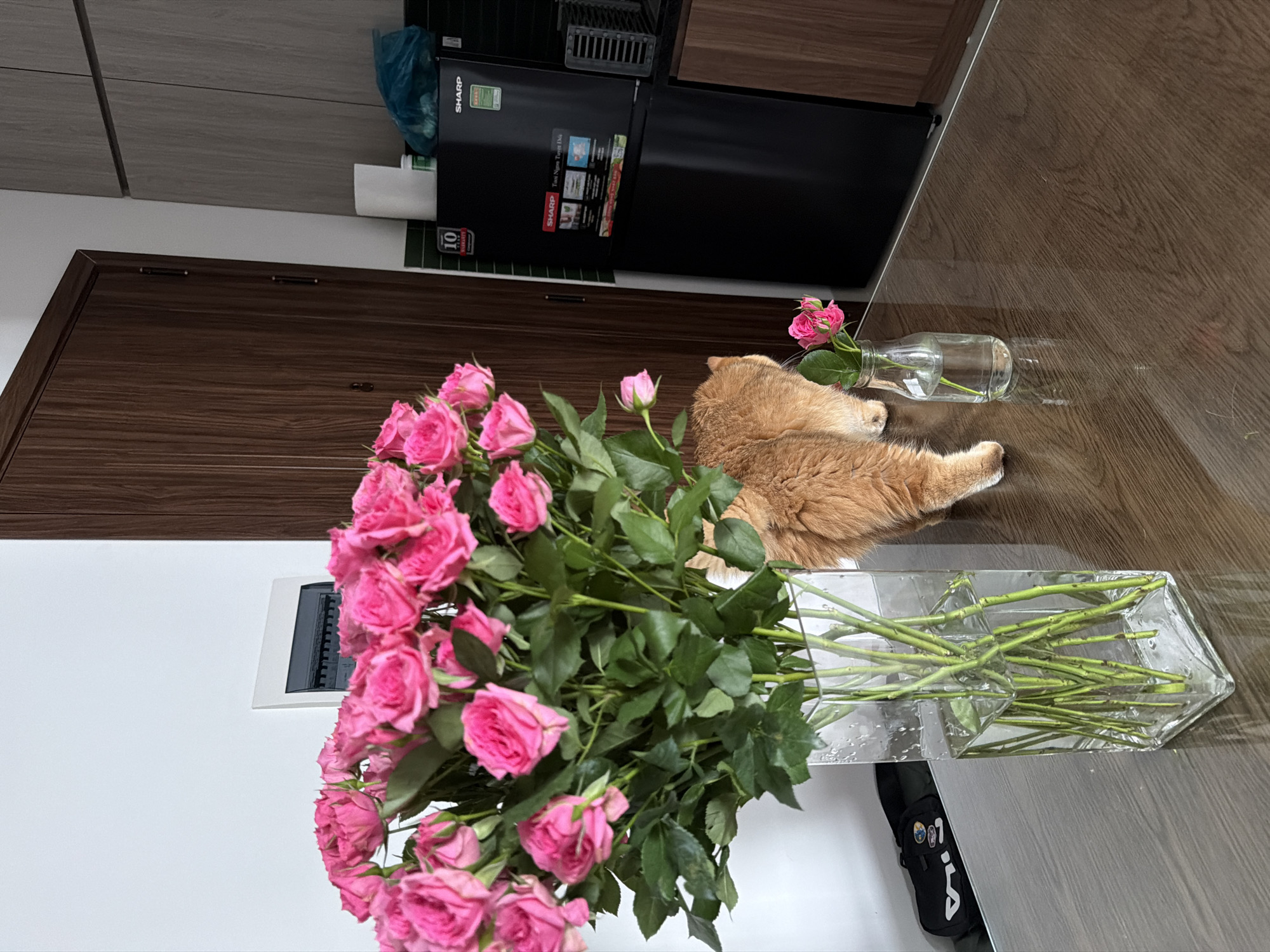 The image depicts an indoor scene, likely a kitchen or dining area. In the foreground, a large bouquet of pink roses sits in a clear, square vase on a dark wood table. To the right of the vase, an orange cat with its back to the camera is sniffing at a small glass bottle containing a single pink rose. Behind the cat, a black Sharp refrigerator is visible, with a teal plastic bag and a white paper towel roll on top. A dark wooden door is to the left of the refrigerator. The background shows a white wall with a white electrical panel box and a glimpse of cabinetry. The lighting suggests it is daytime, with natural light entering from an unseen source. The scene does not contain any specific landmarks or features that would allow for the identification of its location in Đà Nẵng, Vietnam.