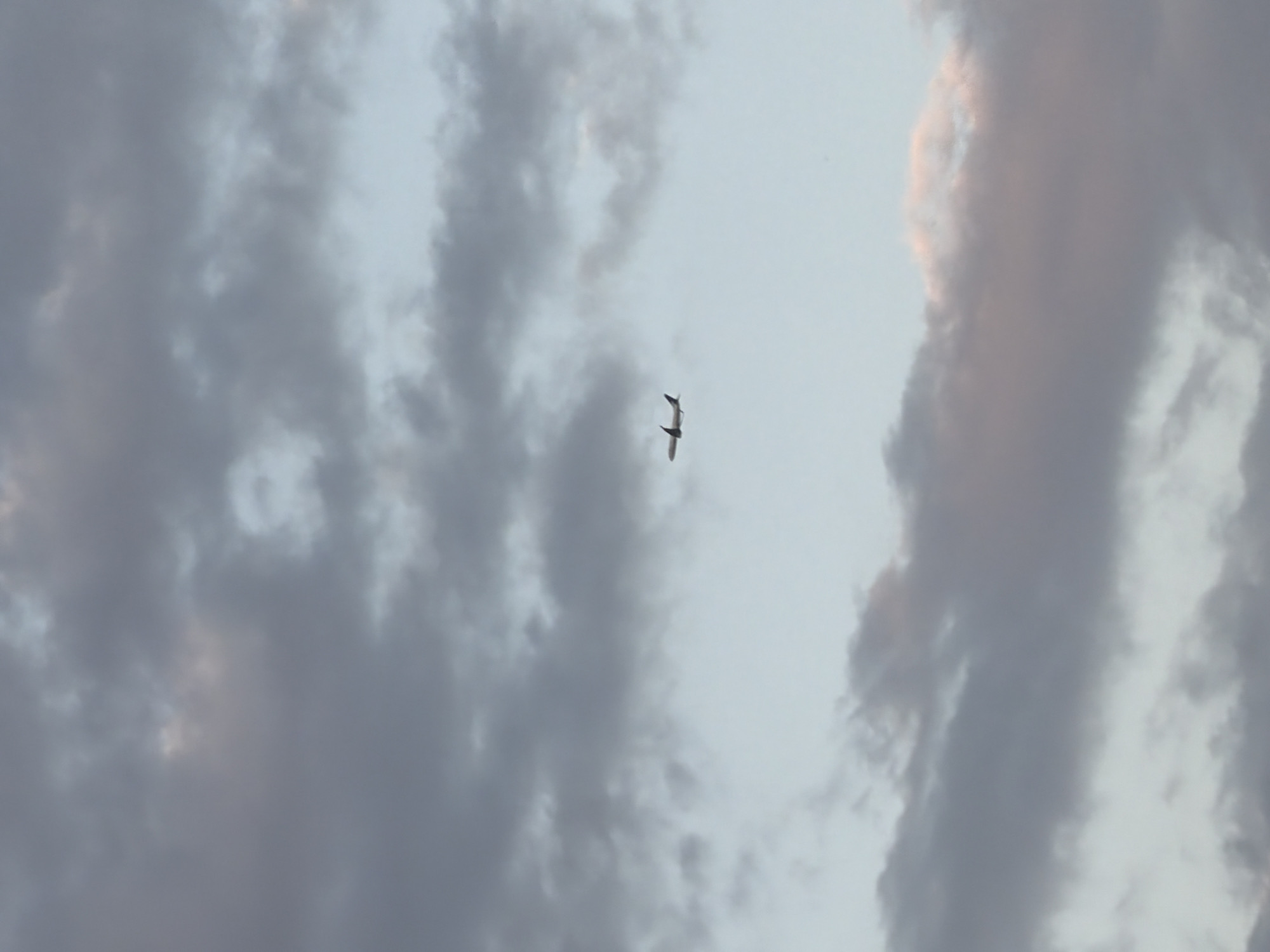 An airplane is visible in the sky amidst clouds. The airplane is a passenger jet with its wings and tail clearly defined. The clouds are a mix of grey and white, with some hints of pink, suggesting it may be sunrise or sunset. The sky is a pale blue. The image was taken in Sofia, Bulgaria.