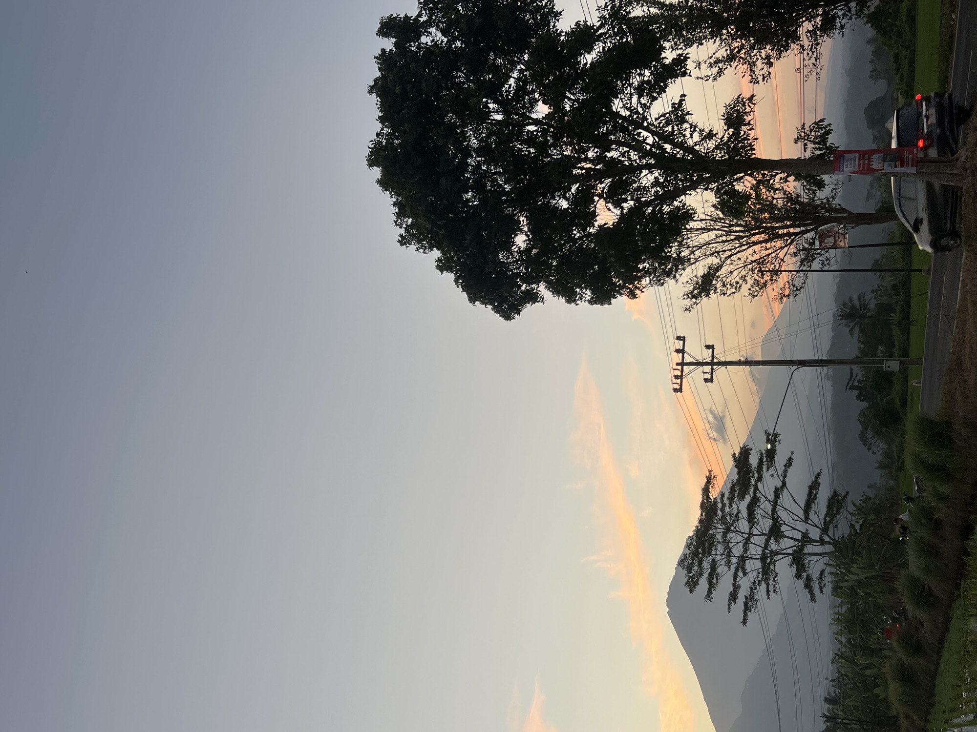 The image depicts a serene sunset scene in Kalijoso, Indonesia. A large, dark silhouette of a tree dominates the right side of the frame, its branches reaching towards a pale sky tinged with soft orange and pink hues. In the background, a majestic, cone-shaped mountain range is partially obscured by mist, its peaks softened by the fading light. A road runs horizontally across the mid-ground, with a dark-colored car traveling away from the viewer. Utility poles with a network of wires are scattered throughout the landscape, indicating the presence of infrastructure. Lush greenery, including what appears to be rice paddies and banana trees, carpets the lower portion of the image, suggesting a rural or semi-rural setting. The overall atmosphere is tranquil and picturesque, capturing the essence of a rural Indonesian evening.