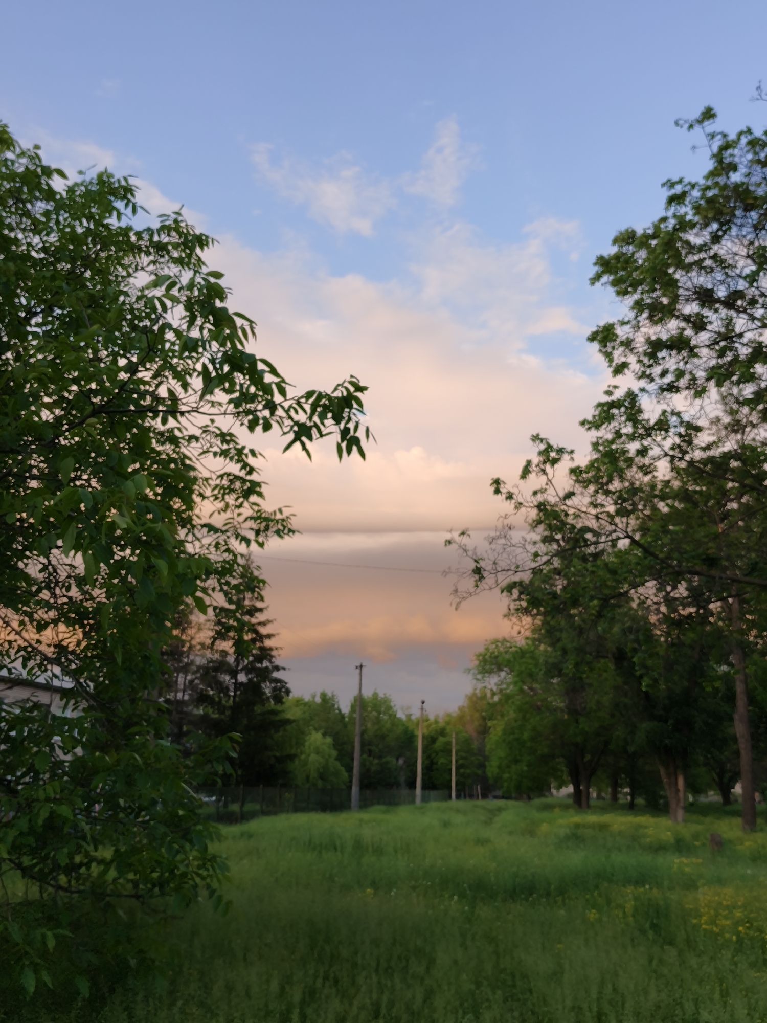 The image shows an overgrown grassy field in Kryvyi Rih, Ukraine, framed by trees on both sides. Power lines are visible in the distance against a sunset sky with shades of blue, pink, and orange. There are no people visible in the scene. The location appears to be a park or a vacant lot within a residential area.