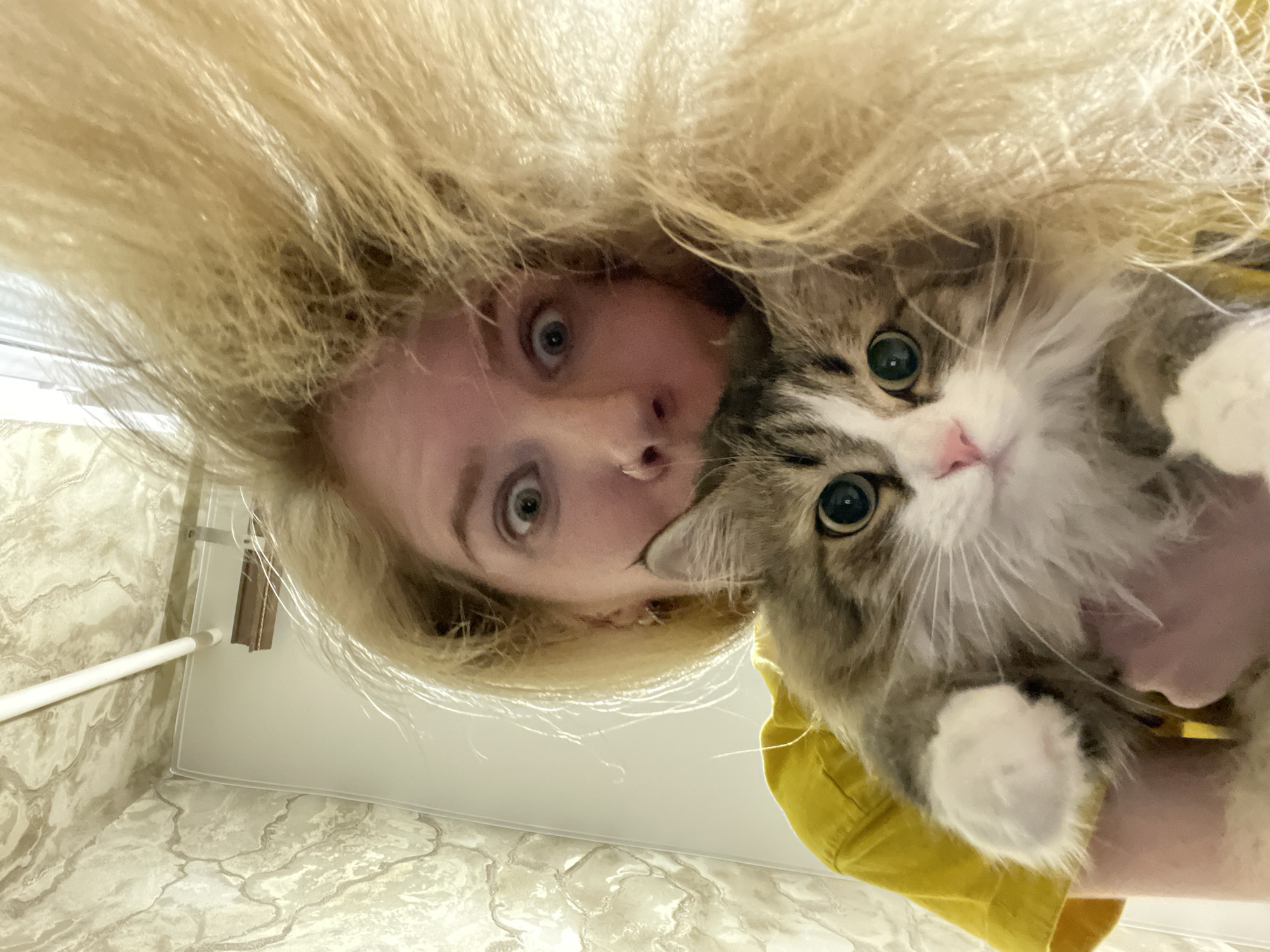 A woman with blonde hair is holding a grey and white cat in an indoor setting. The camera angle is from above, looking down at the woman and the cat. The woman has a surprised expression on her face. The cat is looking at the camera. A portion of the wall or floor is visible in the background. The location is not identifiable as Izhevsk, Russia, from the provided image.
