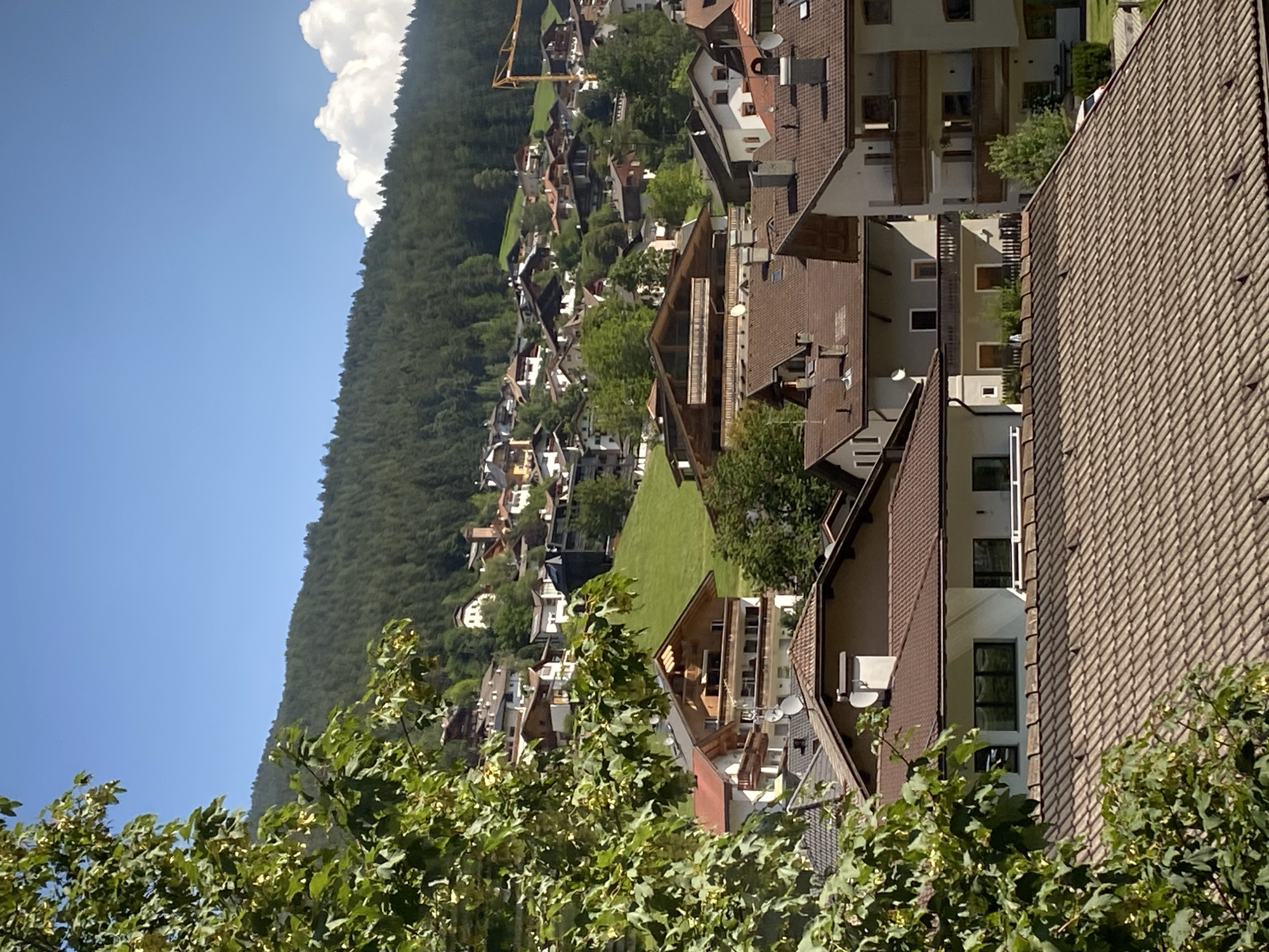 The image depicts a view of the town of Kastelruth (Castelrotto), Italy, nestled on a hillside. In the foreground, the tiled roofs of several buildings are visible, some with satellite dishes. A large tree with green leaves partially obscures the view on the left side of the frame. Behind the foreground buildings, more houses and structures ascend the grassy hillside, dotted with trees. The houses are a mix of architectural styles, featuring various roof colors, balconies, and window designs.
Further up the hill, a dense forest blankets the mountainside, under a clear blue sky with a few white clouds on the right. A yellow construction crane is visible in the middle distance, suggesting ongoing development or construction within the town. The overall scene portrays a tranquil, picturesque mountain town on a sunny day. No people or specific actions are discernible in the image.