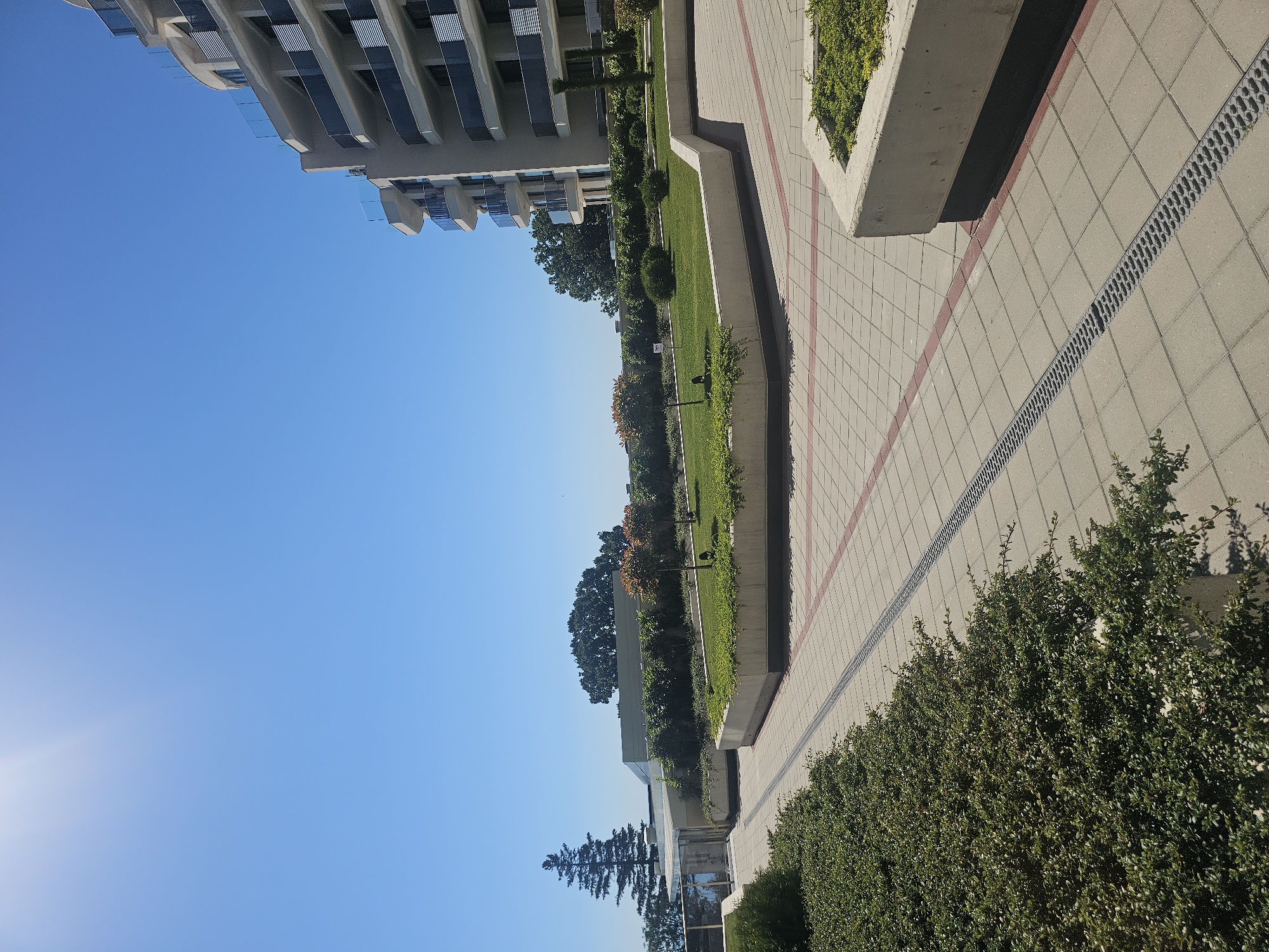 An outdoor scene shows a paved walkway with planters and landscaping, leading towards a modern multi-story building. The walkway is made of square tiles with red border lines and a linear drainage grate. To the left, low-lying green bushes line the edge of the walkway. In the middle ground, there are raised planters with manicured grass and small trees. In the background, a tall evergreen tree stands to the left, silhouetted against the bright blue sky. To the right, a curved, light-colored building with multiple balconies is visible. The sky is clear and bright, with the sun creating a lens flare in the upper left corner. No people are present in the image.