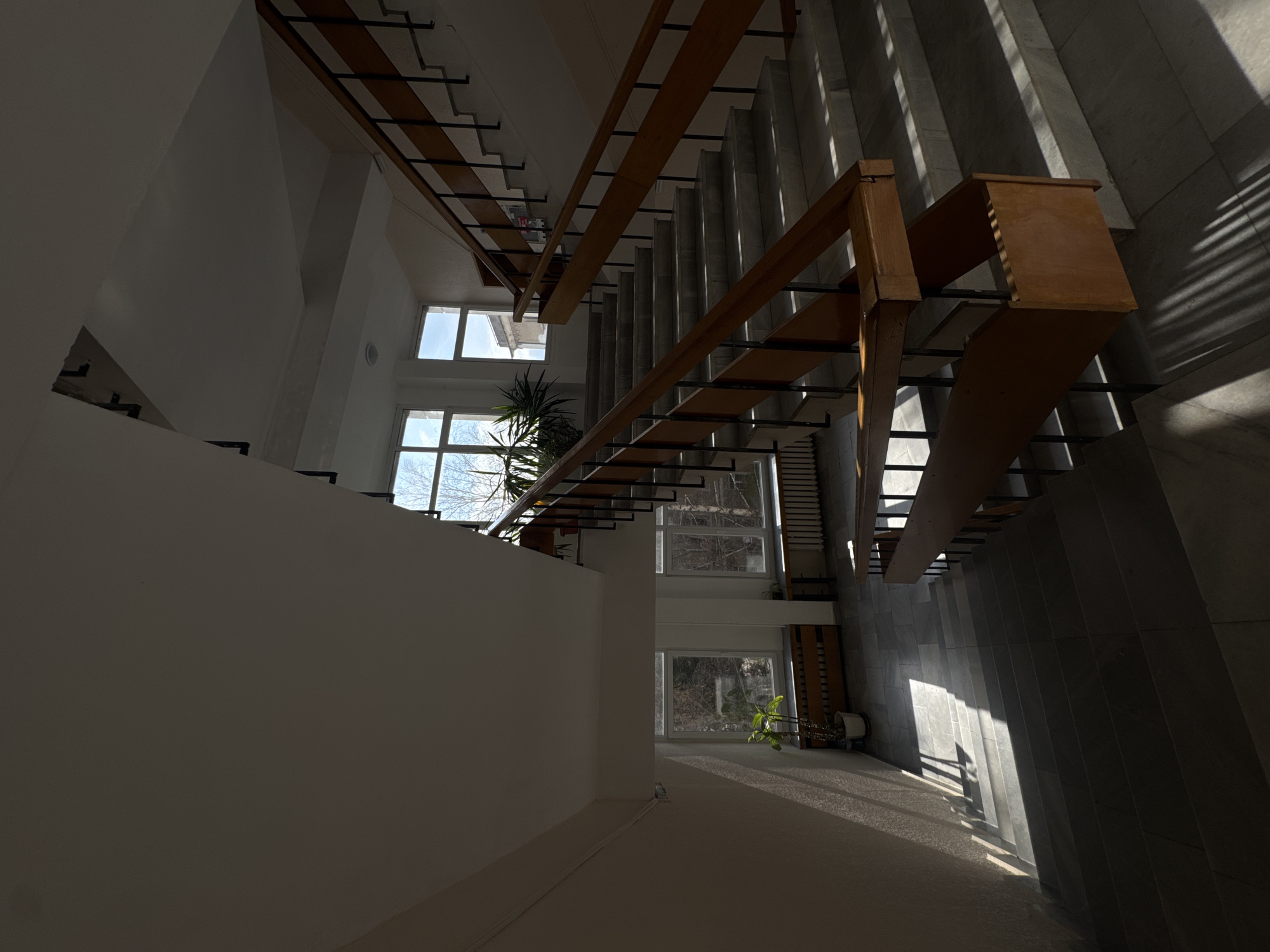 A low-angle shot looking up at a modern architectural interior. The focus is on a wooden staircase with black metal supports, running diagonally across the frame. To the left of the staircase is a white wall with a portion of a staircase visible in shadow. Windows are visible in the distance showing trees and outdoor scenery. To the right of the staircase, a textured grey wall with vertical panels creates a strong contrast with light and shadow. The floor appears to be carpeted with light-colored material. A potted plant is situated on the ground floor. There is no evidence to confirm the location in Sofia, Bulgaria.