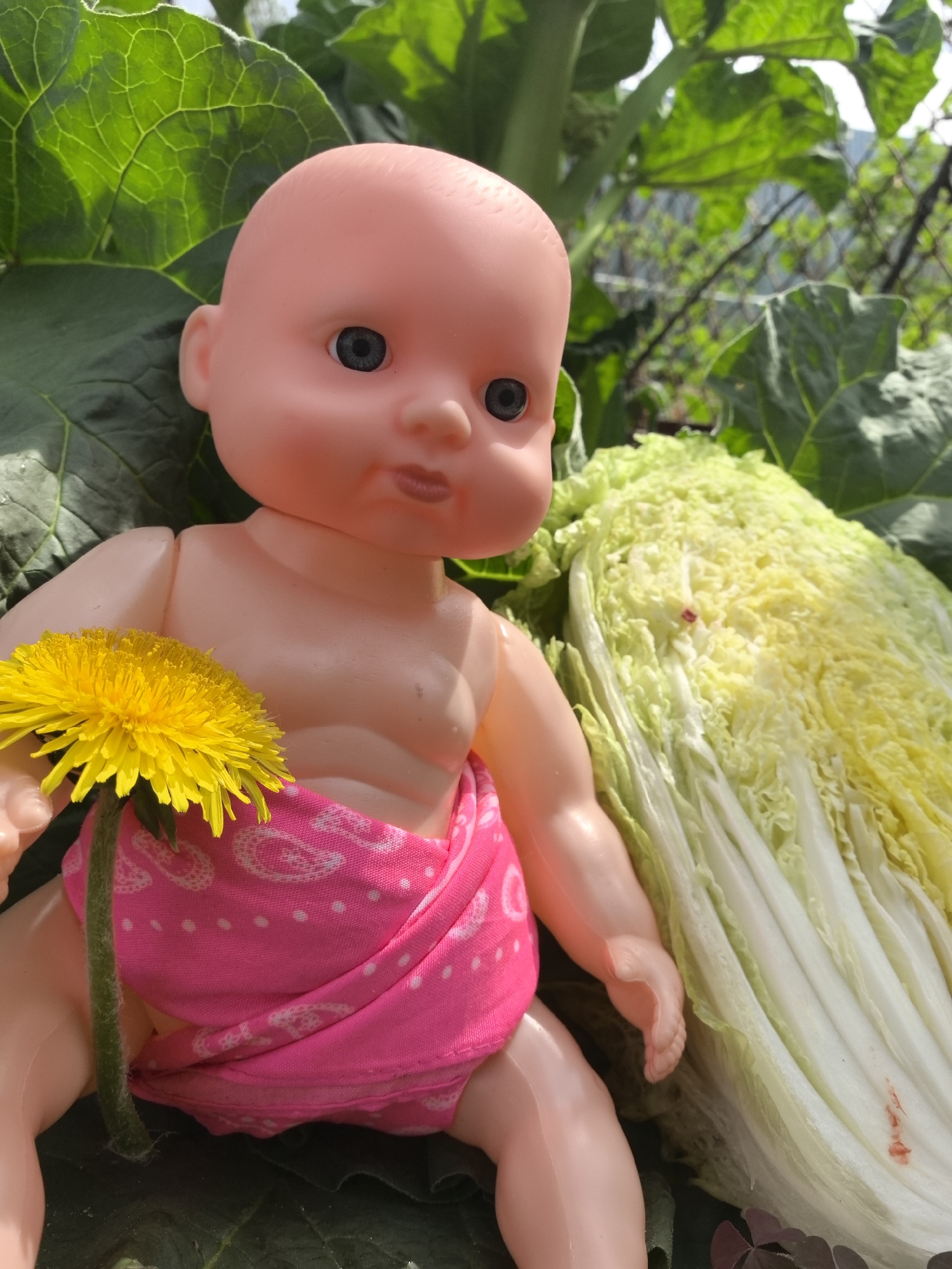 A plastic baby doll, swathed in a pink patterned cloth, sits near a head of napa cabbage in an outdoor environment of green foliage. The doll holds a yellow dandelion. The location, Noviy, Russia, is not evident in the image.