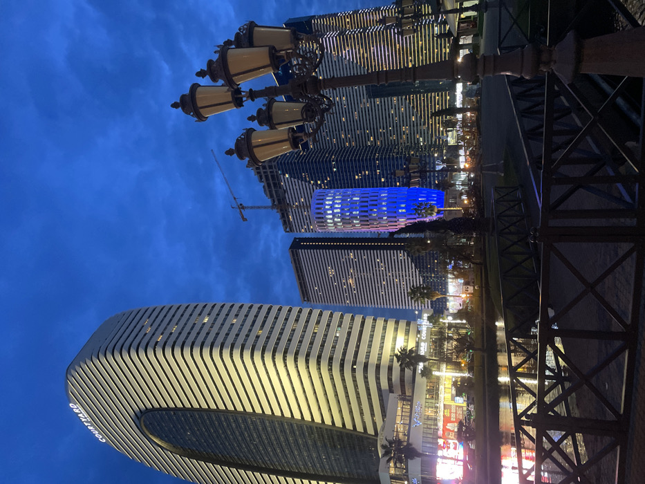 Tall buildings, lit with a warm glow, pierce a dark blue sky. A distinctive oval building with "Courtyard" visible on its side anchors the scene. A blue-lit building and another high-rise rise behind it. An ornate street lamp stands prominently in the foreground. A fenced path is visible to the right. A construction crane is seen in the distance. The scene is taken at dusk or night.