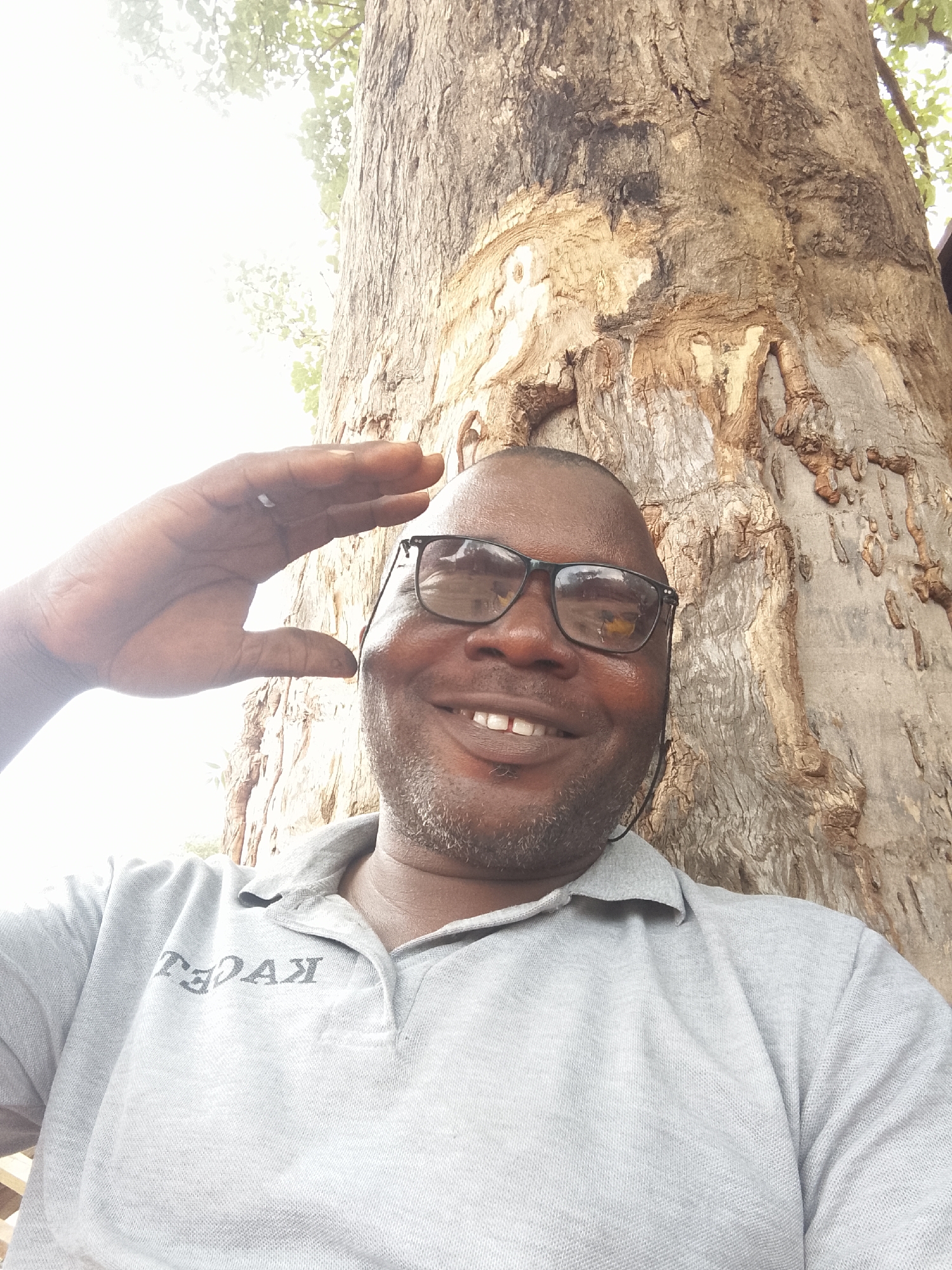 A close-up, low-angle selfie captures a smiling man standing outdoors against a large tree trunk. The man has dark skin, is bald, and has stubble or short facial hair. He is wearing dark-rimmed glasses, which reflect the bright sky. He wears a light grey polo shirt with a visible woven texture. On the left side of his chest, inverted text is printed on the shirt, which appears to read "KAPEL."
The man's right hand is raised to his forehead, palm forward with fingers together, in what could be a salute or a gesture to shield his eyes from the bright light. He is smiling widely, revealing his teeth, and appears cheerful. A thin black wire, possibly from an earphone, is visible near his right ear.
The background features a very large tree trunk with deeply textured, rugged bark in shades of brown, grey, and lighter patches. Some green foliage can be seen in the upper portion of the frame, indicating the tree's canopy. The lighting is very bright, with the upper left section of the image appearing overexposed, suggesting a sunny day.