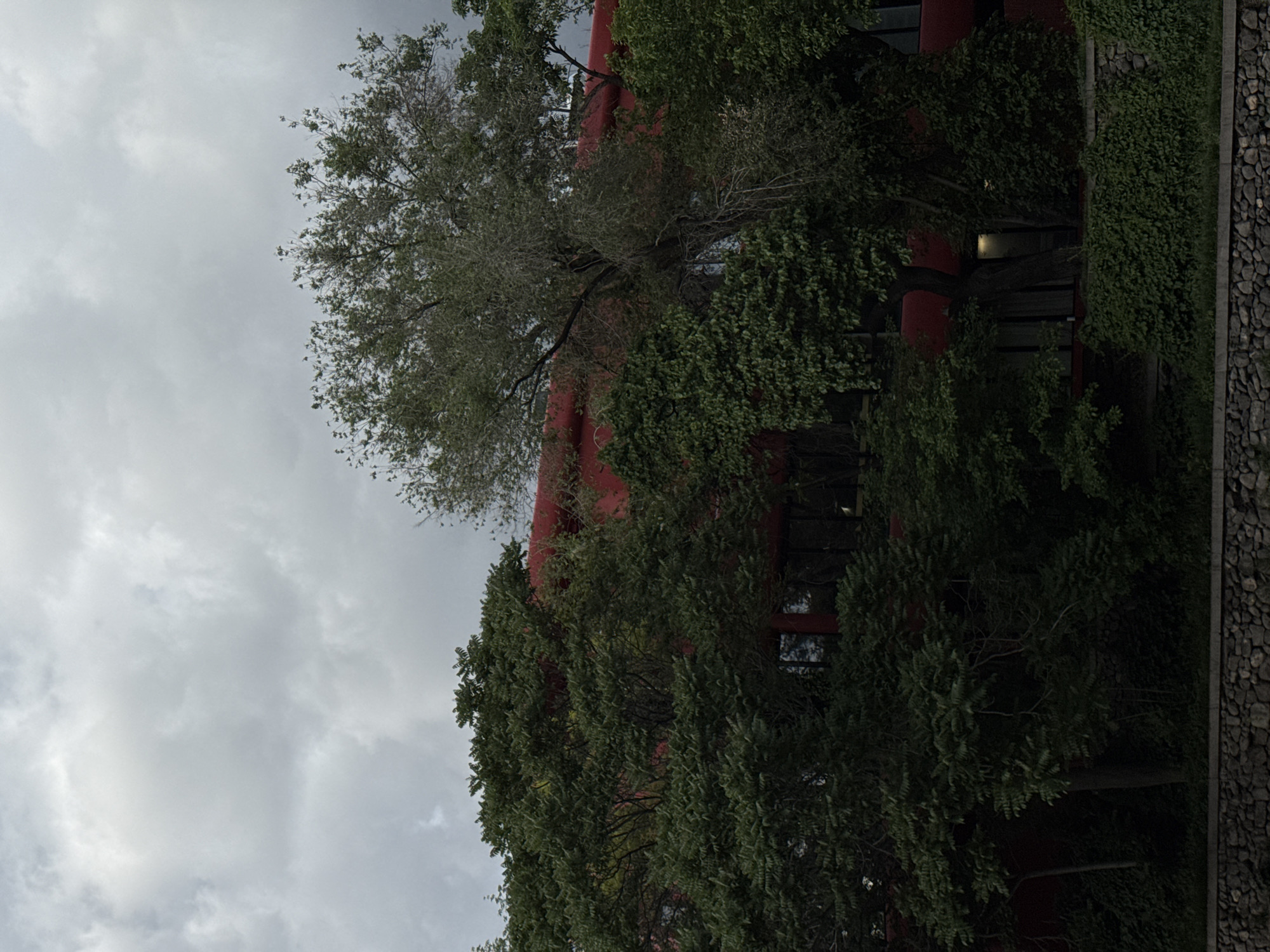 A low-angle shot shows a red building partially obscured by trees against a cloudy sky. The building has large windows and is covered in vegetation. A stone wall borders the right side of the frame. The location is potentially Yerevan, Armenia.