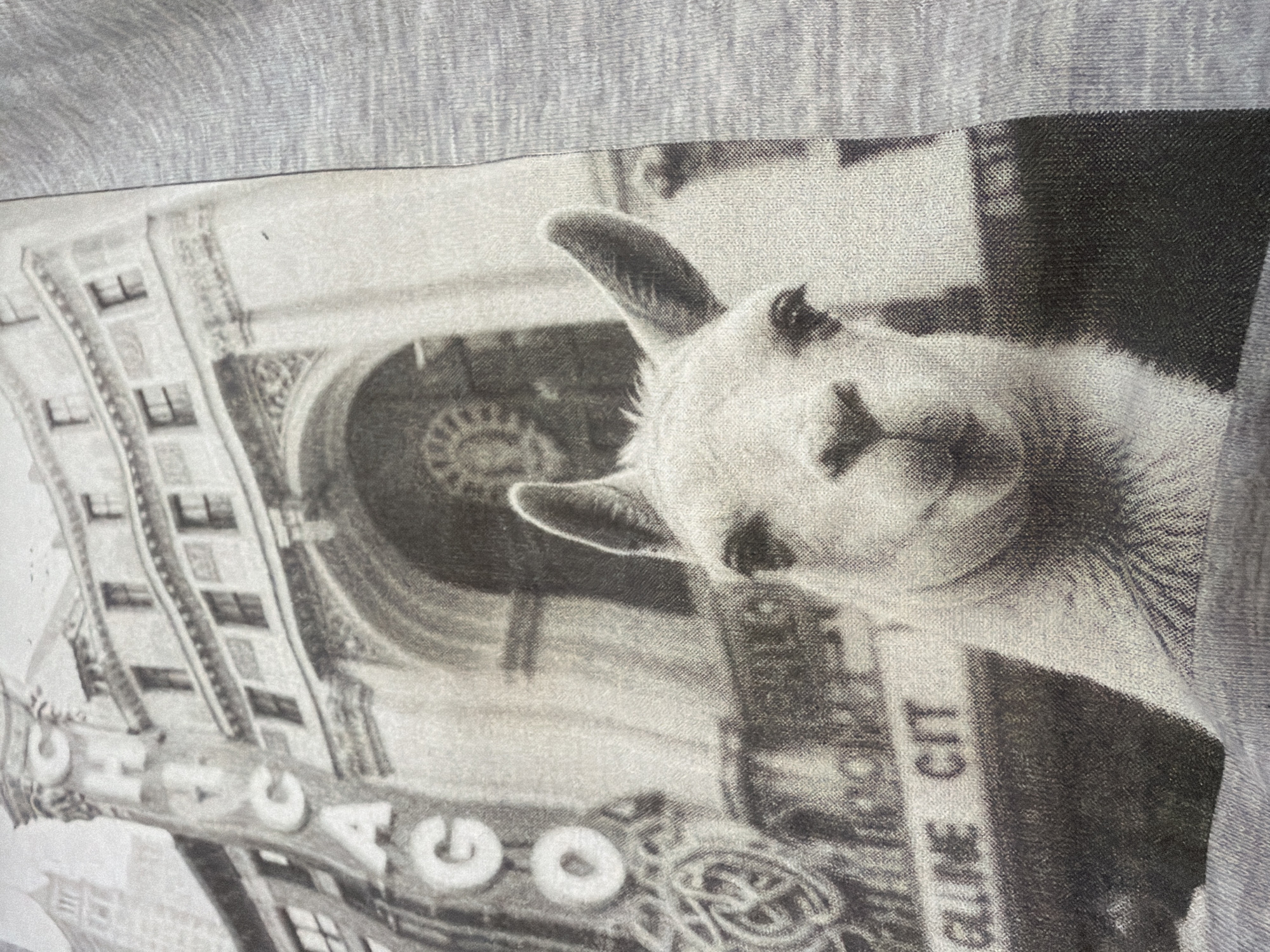 The image depicts a grey T-shirt with a printed design featuring a llama superimposed onto a black and white image of a Chicago building. The building appears to be a theater with a sign reading "CHICAGO" vertically on the left. Another sign reads "CLINE CTT" horizontally. The llama's head and upper body are positioned on the right side of the image. The T-shirt fabric is visible around the edges of the printed area.