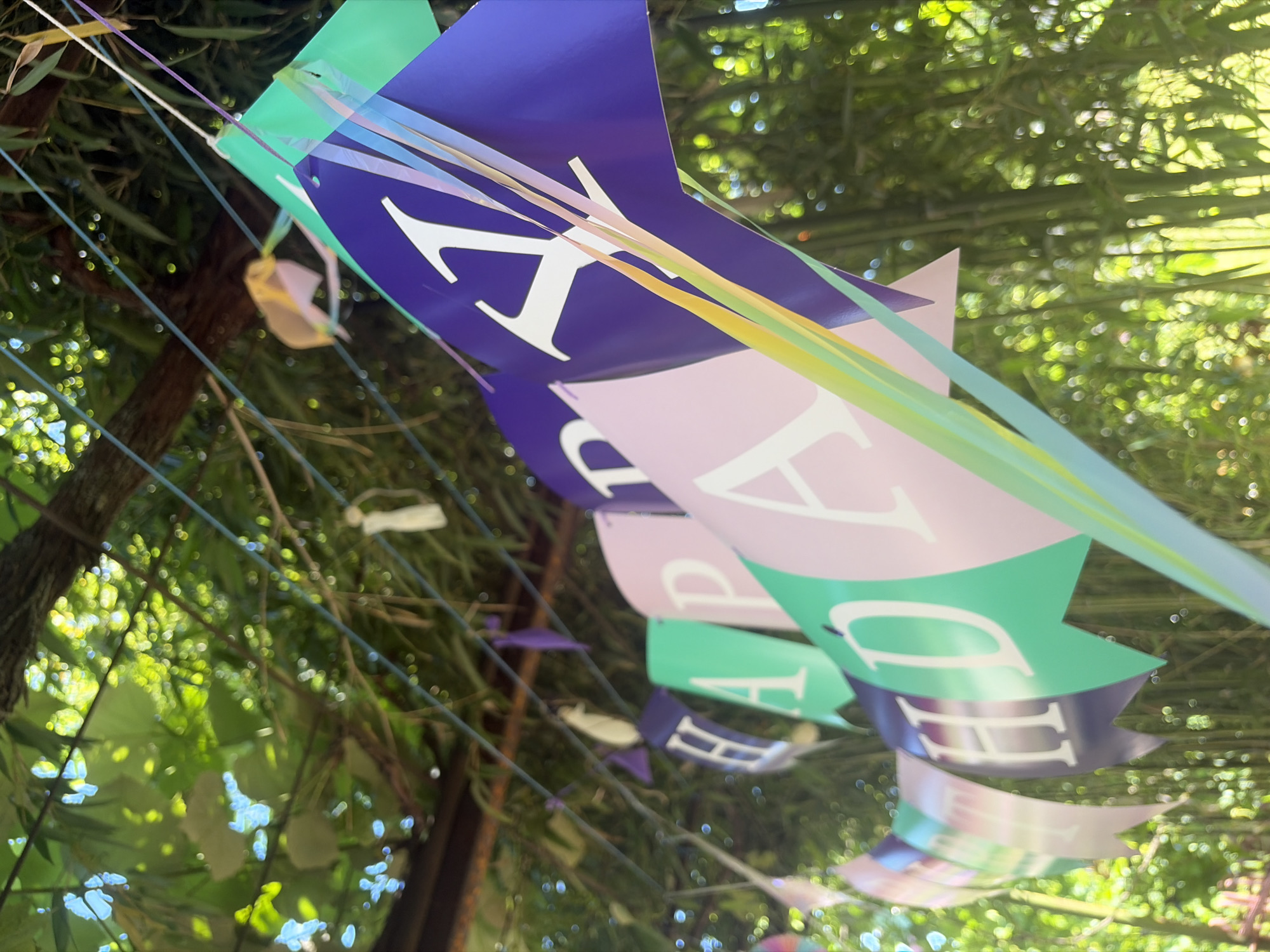 This image displays a "HAPPY BIRTHDAY" banner strung across an outdoor area, likely a garden or backyard, with lush green foliage and bamboo in the background. The banner consists of individual pennants with pastel colors like purple, pink, and green, each bearing a letter of the message. The letters are white and appear to be a serif font. Decorative streamers in pastel rainbow colors are attached to some of the pennants. The scene suggests a celebratory event taking place in a natural setting. There is no indication of Vlasatitsa, Bulgaria in the image itself.