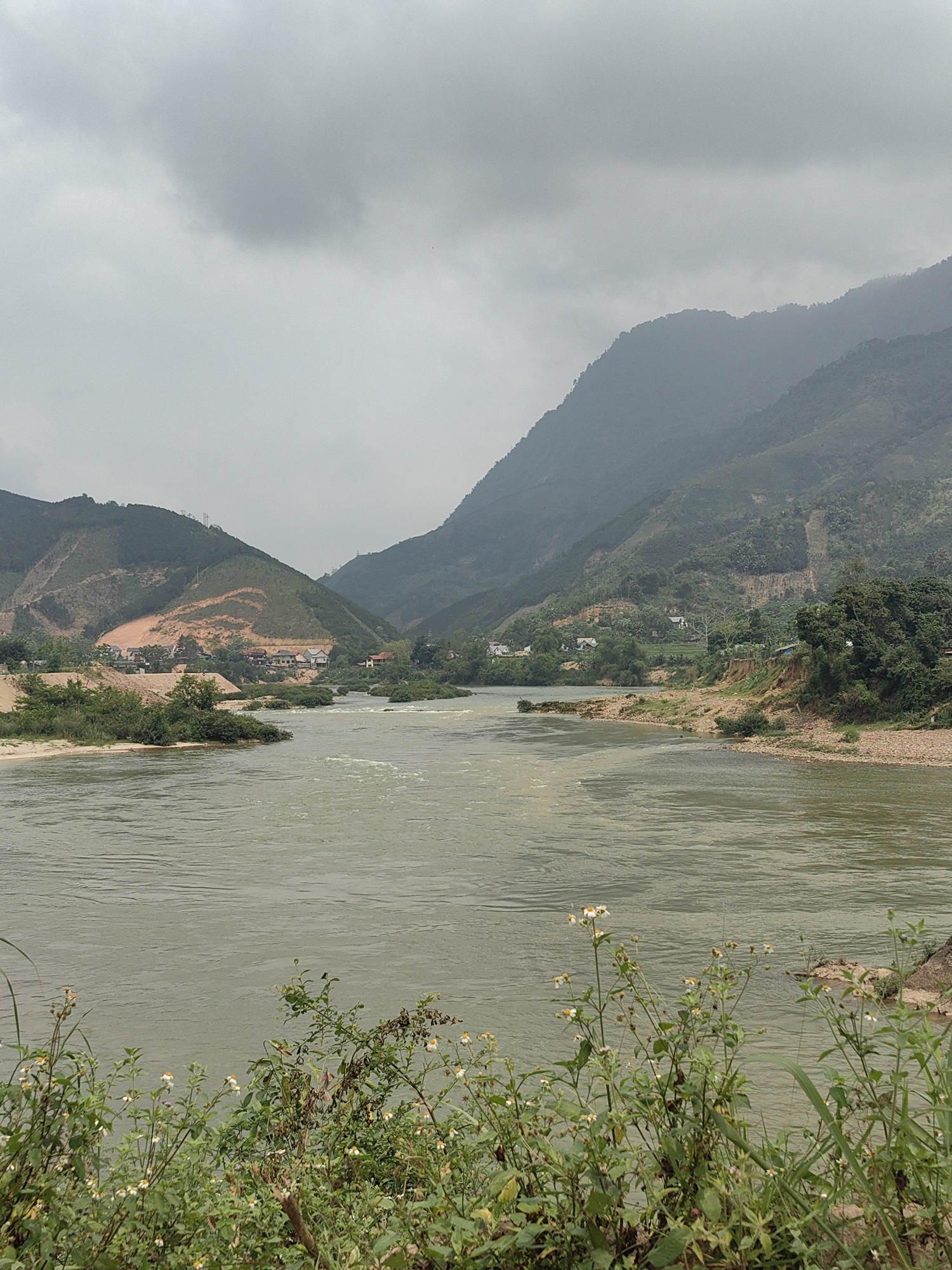 The scene captures a wide view of a river traversing a mountainous valley in Lang Qua, Vietnam. Under an overcast, gray sky, the murky, olive-green river flows with visible currents. The riverbanks are irregular, composed of sandy and rocky sections interspersed with dense green vegetation, including small, vegetated islands within the waterway. Mountain slopes rise sharply on both sides; the left slope exhibits areas of exposed reddish-brown earth, indicative of excavation or erosion, with several white-roofed residential structures clustered near the river. The right slope is predominantly covered in lush green foliage, with scattered small buildings visible further up. The immediate foreground is dominated by unkempt green foliage featuring small white and yellow wildflowers. No people or animals are present, and no specific actions are observed within the frame.