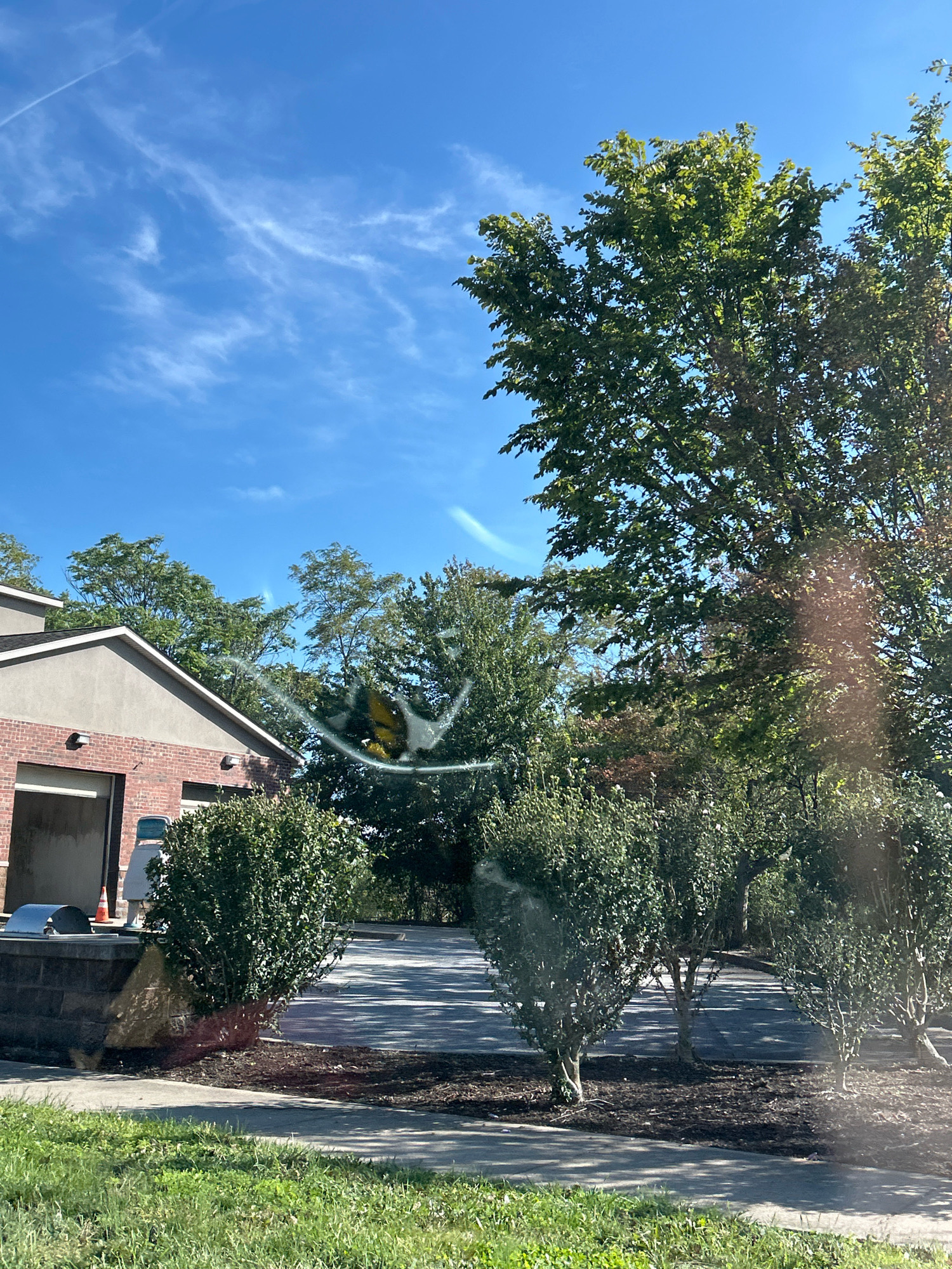 The image depicts an outdoor scene in Robinson Township, United States of America, on a clear, sunny day. The sky is blue with wispy white clouds and a faint contrail from an aircraft. In the foreground, there is a patch of green grass and a paved sidewalk. Beyond the sidewalk, there is a paved area, possibly a parking lot, with several manicured bushes and trees.
To the left of the image, a section of a building is visible. It has a brick lower portion and a lighter colored upper facade. There appears to be a large garage-style door. In front of the building, there is a stone wall with a metal trash receptacle on top, and a red traffic cone. A white object, possibly a trash bin, is also visible near the building.
The majority of the middle and right side of the image is dominated by lush green trees and dense bushes, suggesting a well-maintained landscape. Sunlight filters through the leaves, creating dappled shadows on the ground. There is a noticeable crack and some smudges on what appears to be a windshield or glass pane through which the photo was taken, with a yellow-tinted area visible within the crack.