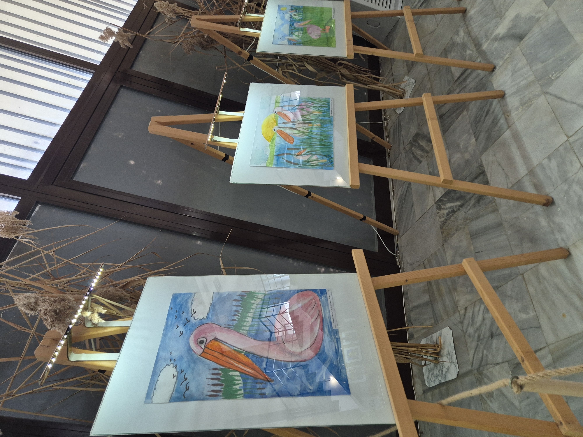 The image shows three paintings displayed on wooden easels. The paintings depict bird themes, with the closest featuring a pink pelican. Each easel has a thin light strip illuminating the paintings. Tall, dried grass stalks stand behind the easels, suggesting a natural setting. The floor is tiled in a grey marble pattern. A window with horizontal blinds can be seen in the background. Based on the subject matter and the likely display of bird-themed artwork, the location could be Srebarna, Bulgaria, known for its lake and bird reserve. The scene appears to be an exhibition or display of art, possibly within or related to the nature reserve in Srebarna.