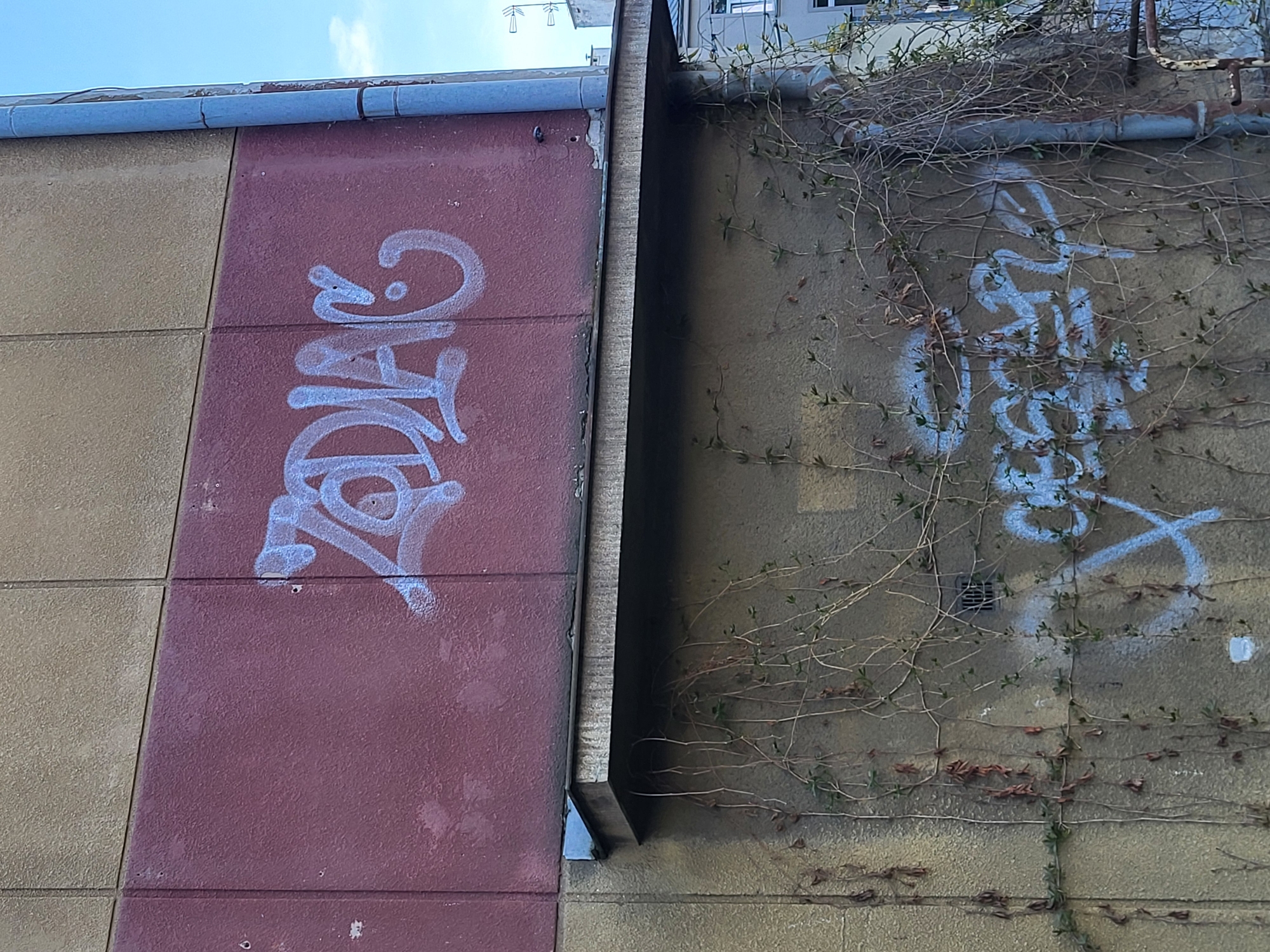 This image depicts a wall with graffiti on two separate sections. On the left, a reddish-brown section of the wall features white graffiti in a stylized, vertical script. To the right, separated by a metal rain gutter, is a grey wall covered in ivy and vines. The graffiti on this section is also white and stylized, but obscured by the vegetation. The building appears to be in an urban setting, although no specific details identify its exact location or purpose. The sky is visible in the upper left corner, indicating daylight.