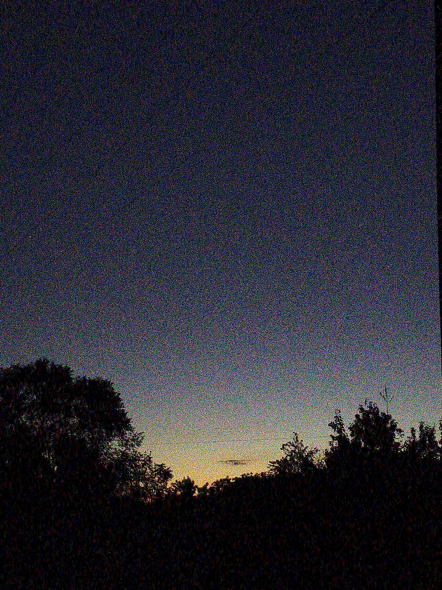 The image captures an outdoor scene at either dusk or dawn, showcasing a gradient sky above a dark silhouette of trees. The sky transitions from a deep, dark blue and purple at the top to a warm, yellowish-orange glow along the horizon. The lower portion of the frame is dominated by the dense, silhouetted forms of trees and foliage, appearing almost black against the lighter sky, obscuring any ground details.
The entire image is heavily affected by significant digital noise, presenting as a granular, speckled pattern of red, green, and blue pixels. This noise is pervasive across both the sky and the darker tree areas, contributing to a gritty texture and reducing overall clarity. A very small, bright point, possibly a star or a distant light source, can be faintly observed in the upper left region of the sky.
No people, animals, or specific man-made objects are identifiable. The scene suggests a natural, tranquil setting, likely a forest edge or a line of distant trees, devoid of specific location markers or visible text. The time of day is clearly twilight, characterized by the striking contrast between the fading or emerging light and the dark landscape.