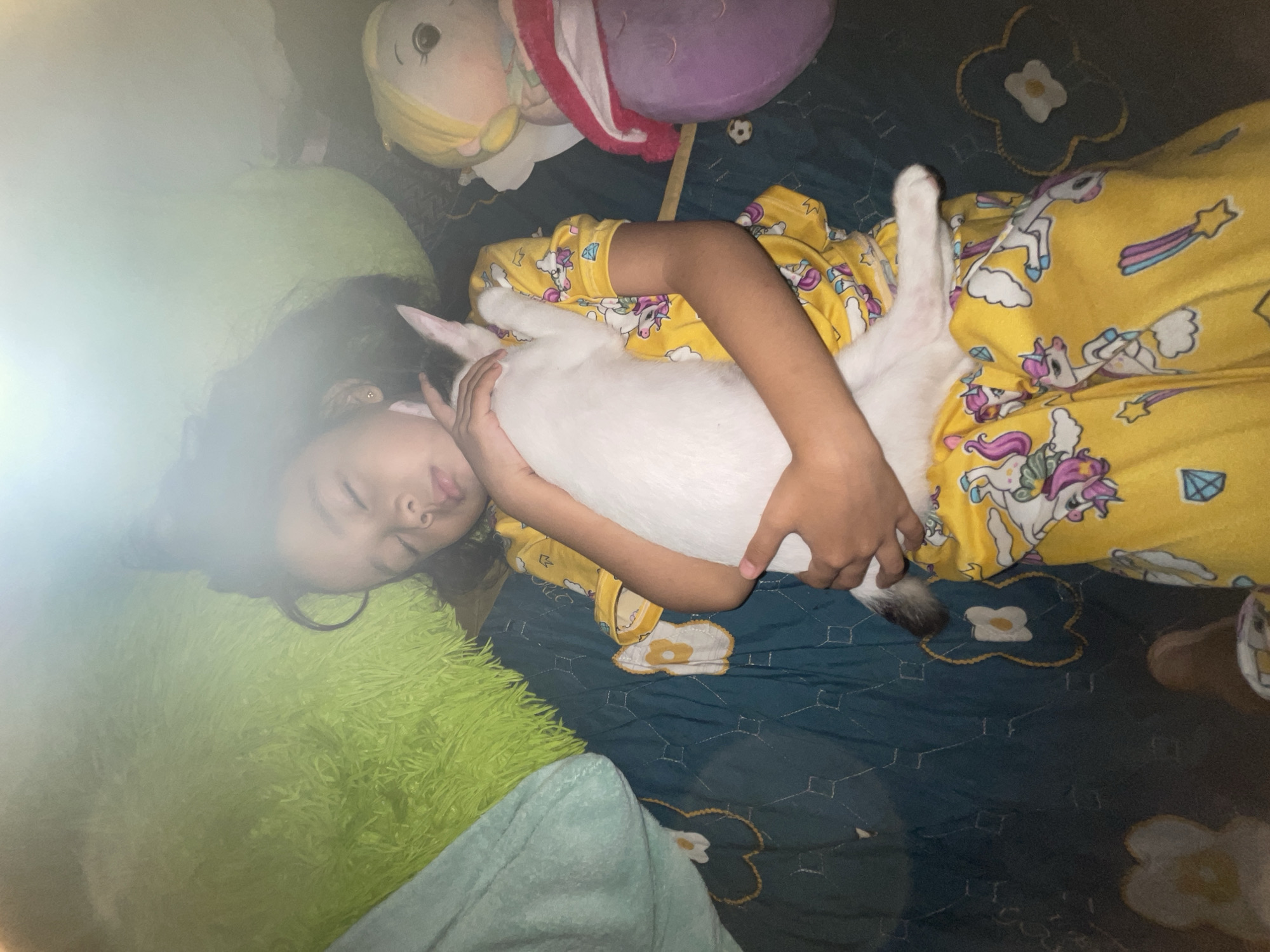 A young girl sleeps on a bed covered with a blue patterned quilt with floral designs. She is wearing yellow pajamas with a unicorn pattern. The girl is hugging a white cat with a dark tail. The cat is lying on its back. Next to the girl is a green pillow, and behind her are several stuffed animals, including a yellow doll and a purple toy. The location is Davao City, Philippines.