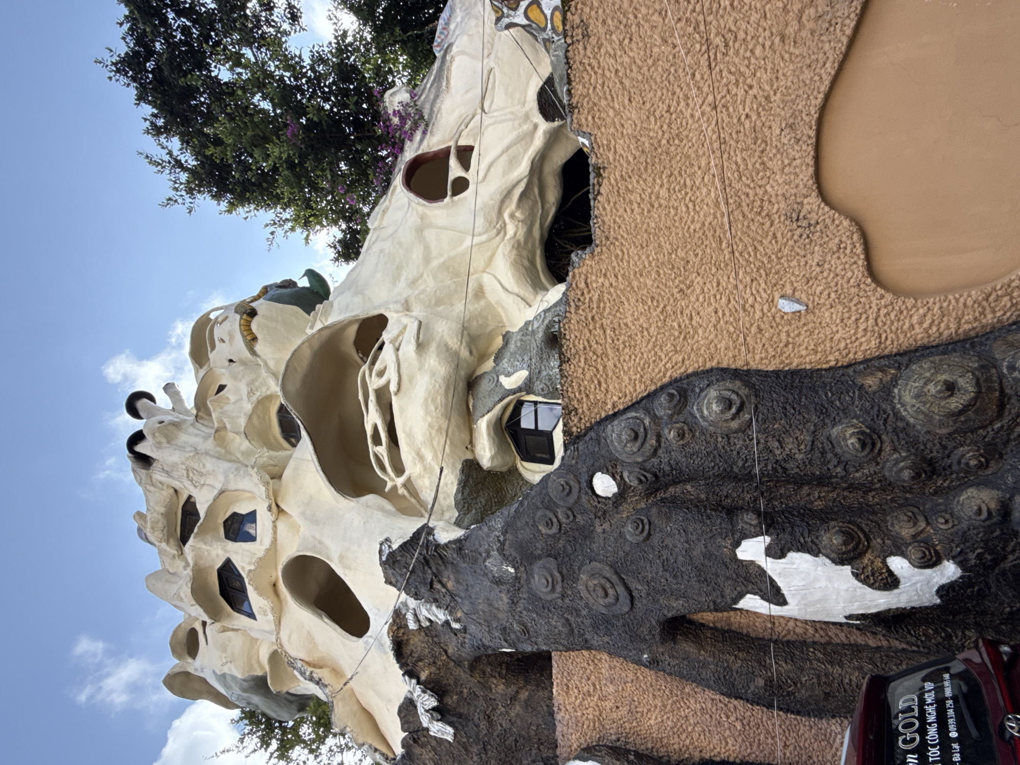 This is an upward-looking shot of a unique, sculptural building, widely recognized as the Crazy House (Hằng Nga Guesthouse) in Da Lat, Vietnam. The architecture is highly organic and whimsical, resembling giant, gnarled tree trunks, cave formations, and fantastical creatures, crafted from concrete.
The building's exterior features a dominant cream or off-white color, extensively textured and contoured with irregular, biomorphic shapes. Numerous windows of various non-standard forms, some dark and others reflecting the sky, are embedded into the facade. Sections of the building also incorporate darker, rougher textures in shades of brown and black, along with intricate patterns like raised circles and mottled surfaces. Hints of colorful accents, like yellow and purple, can be seen in some details.
In the upper left, lush green foliage from a large tree, interspersed with purple blossoms, frames the building against a bright blue sky with scattered white clouds, indicating clear daytime weather. The perspective emphasizes the towering and immersive nature of the surreal structure.
The right side of the image reveals a distinct portion of the building's exterior covered in a coarse, sandy-brown textured material, juxtaposed with a large, dark, sculptural element adorned with circular patterns and white highlights.
At the bottom right corner, a part of a vehicle, likely a car, is visible. Visible text on this section includes "GOLD," "TOC CONG NGHE MOI VIP," phone numbers starting with "0939," and "Đà Lạt," explicitly confirming the location. The image captures the imaginative and dream-like quality of this unconventional architectural landmark.