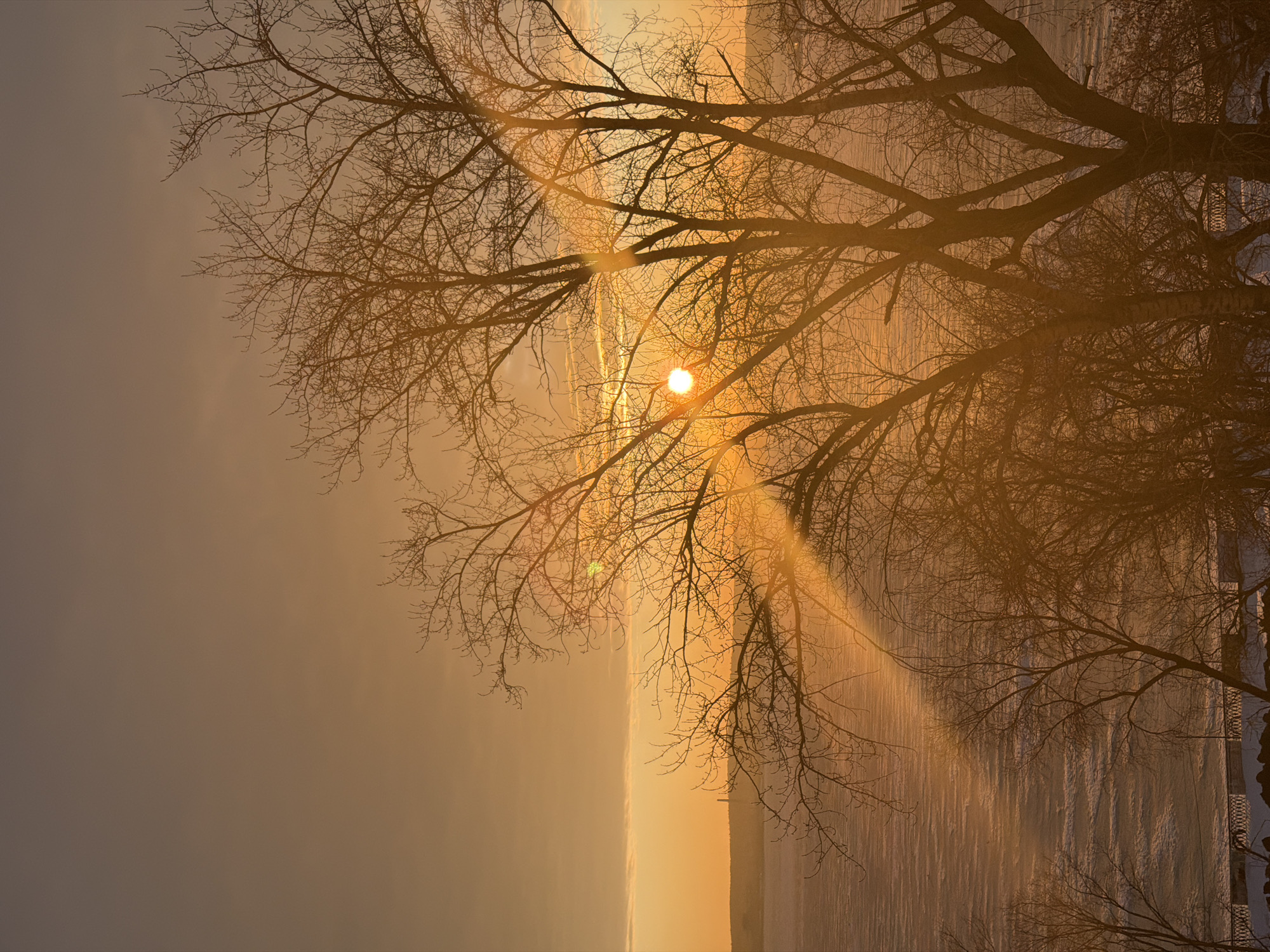 An outdoor scene captured during sunrise or sunset depicts the Izhevsk Pond in Izhevsk, Russia, under winter conditions. The sky presents a gradient of orange and amber hues, with the sun visible as a bright, circular disc positioned off-center left, partially obscured by silhouetted bare deciduous trees. Strong sun rays emanate from the sun, creating lens flare across the image. The foreground and midground are dominated by the dark silhouettes of numerous leafless tree branches, primarily on the right side and extending across the frame. The Izhevsk Pond, a large body of water, is completely frozen, its surface appearing textured with snowdrifts or ice patterns, reflecting the warm light. On the far bank of the pond, a low-lying, indistinct landmass or city silhouette is visible, featuring a tall, slender, dark structure (likely the "Friends" Monument or Izhevsk Tower) near the left-center horizon. At the very bottom, partially obscured by the trees, is a snow-covered embankment with a dark, ornate metal railing, indicating a public walkway or viewing area. No individuals or active subjects are present.