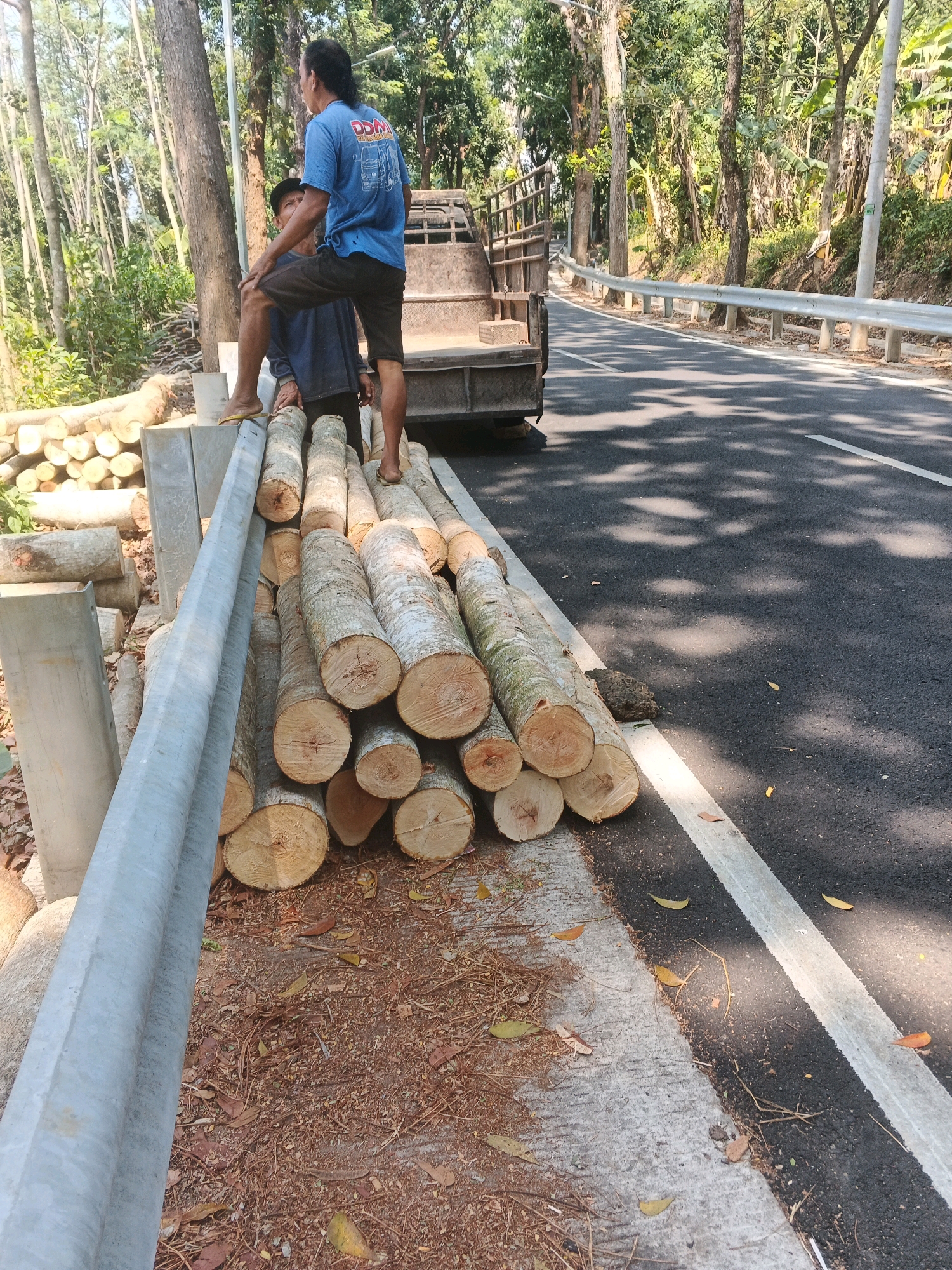 In Bandarjo, Indonesia, two individuals are seen near a roadside where logs are stacked. One man, wearing a blue t-shirt and dark shorts, stands with his right leg on top of a concrete structure, interacting with another person. This second individual is partially obscured but appears to be wearing a blue shirt and dark pants, holding onto some of the logs. A truck bed, partially visible, is positioned behind them. The logs, varying in size, are piled on the ground next to a paved road that features a white line marking. The surrounding environment includes trees, vegetation, and a metal guardrail along the road. The ground is covered with dry leaves and soil.