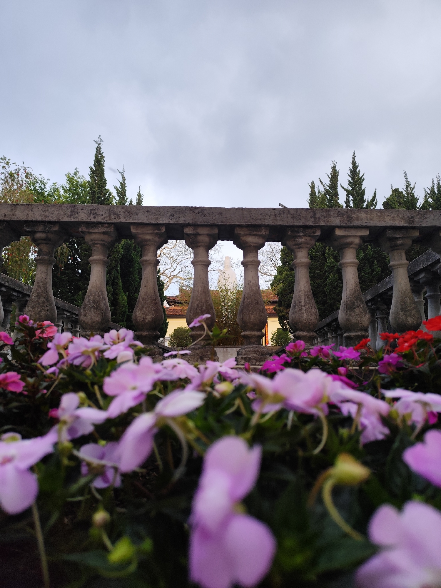 The image captures an outdoor scene featuring a stone balustrade and a bed of colorful flowers, viewed on an overcast day. In the immediate foreground, a dense array of small flowers, primarily light purple and pink, with some darker pink and red blooms on the right, is heavily blurred, creating a soft, out-of-focus effect that directs attention deeper into the frame.
A weathered, grey stone balustrade, composed of several ornate balusters supporting a flat top rail, dominates the midground. This architectural element acts as a visual barrier and frames the background elements. Through the gaps in the balustrade, a white statue, possibly a classical or religious figure, is visible, standing somewhat prominently in the distance. Behind the statue and partially obscured by the trees, a building with a distinctive reddish-brown tiled roof and light-colored walls can be seen.
Tall, dark green coniferous trees, resembling cypress trees, are scattered throughout the background, both behind and above the balustrade, contrasting with the lighter grey sky. Some bare-branched deciduous trees are also present, adding to the varied foliage. The sky itself is uniformly light grey and overcast, suggesting diffused natural light rather than direct sunlight.
No specific activity or event is taking place, and no people are visible in the serene landscape. The scene evokes a sense of quiet beauty, characteristic of a garden or terraced area. The location is Da Lat, Vietnam. There is no visible text within the image.