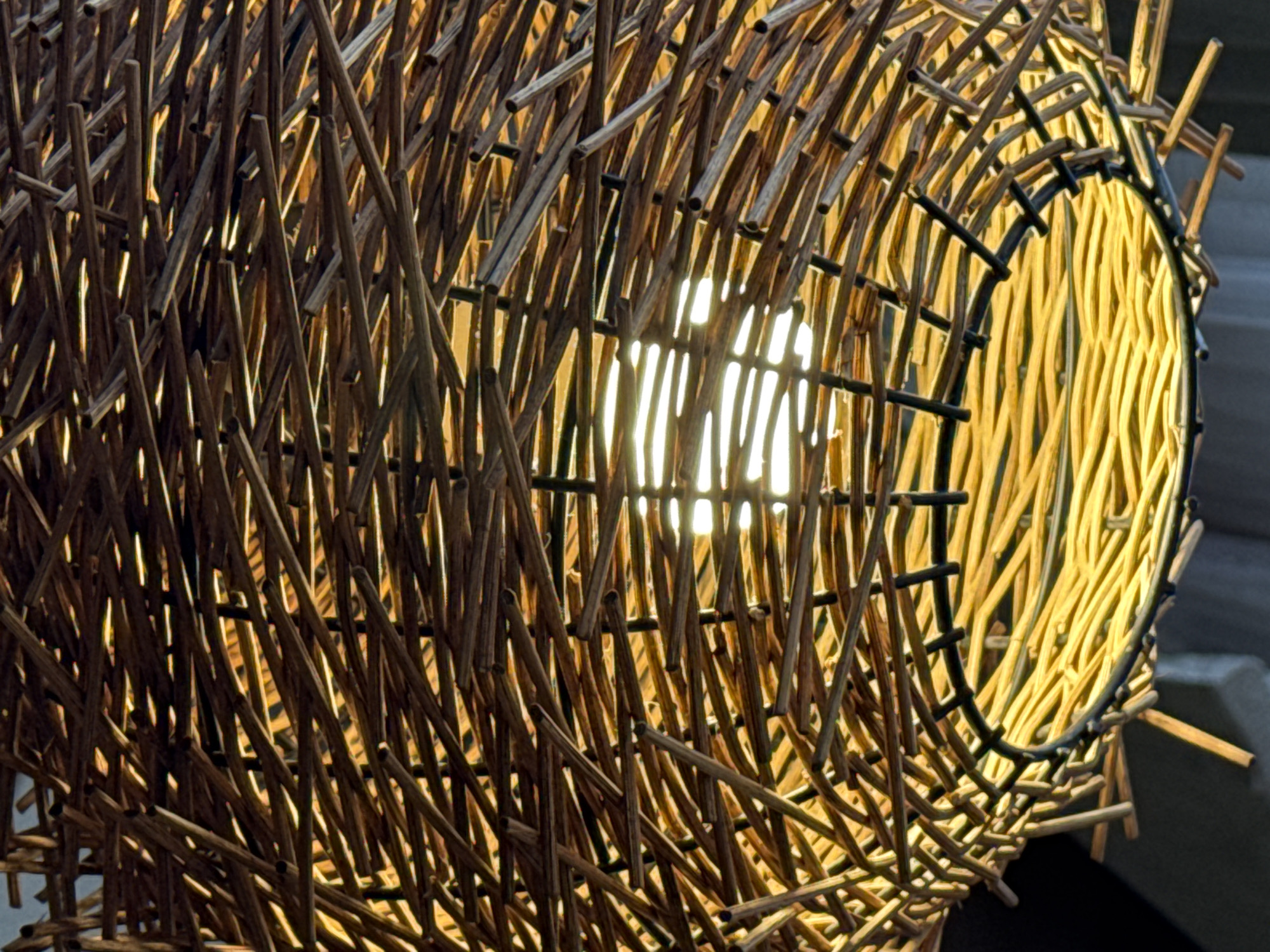 A close-up photograph captures an illuminated, intricately woven light fixture, likely a lamp shade, crafted from numerous thin, natural sticks or twigs. The structure, appearing to be spherical or ovoid, is made from irregularly arranged pieces of wood, varying in color from light golden-brown to dark reddish-brown. A bright, warm, circular light source is visible through the gaps in the weaving in the central left portion of the image, casting a soft glow that highlights the internal surfaces of the sticks and creates shadows on their exterior.
The light source emphasizes the organic texture and layered complexity of the interwoven material. Some of the sticks show cut ends, revealing a cylindrical form, while others are bent or curved. Towards the right side, a darker, possibly metal or painted, structural frame is visible, providing support to the woven elements. The background is dark and out of focus, suggesting an indoor setting where the lamp provides primary illumination, possibly during the evening or night. No people or visible text are present. The scene is set in Ново-Никольское, Russia.
