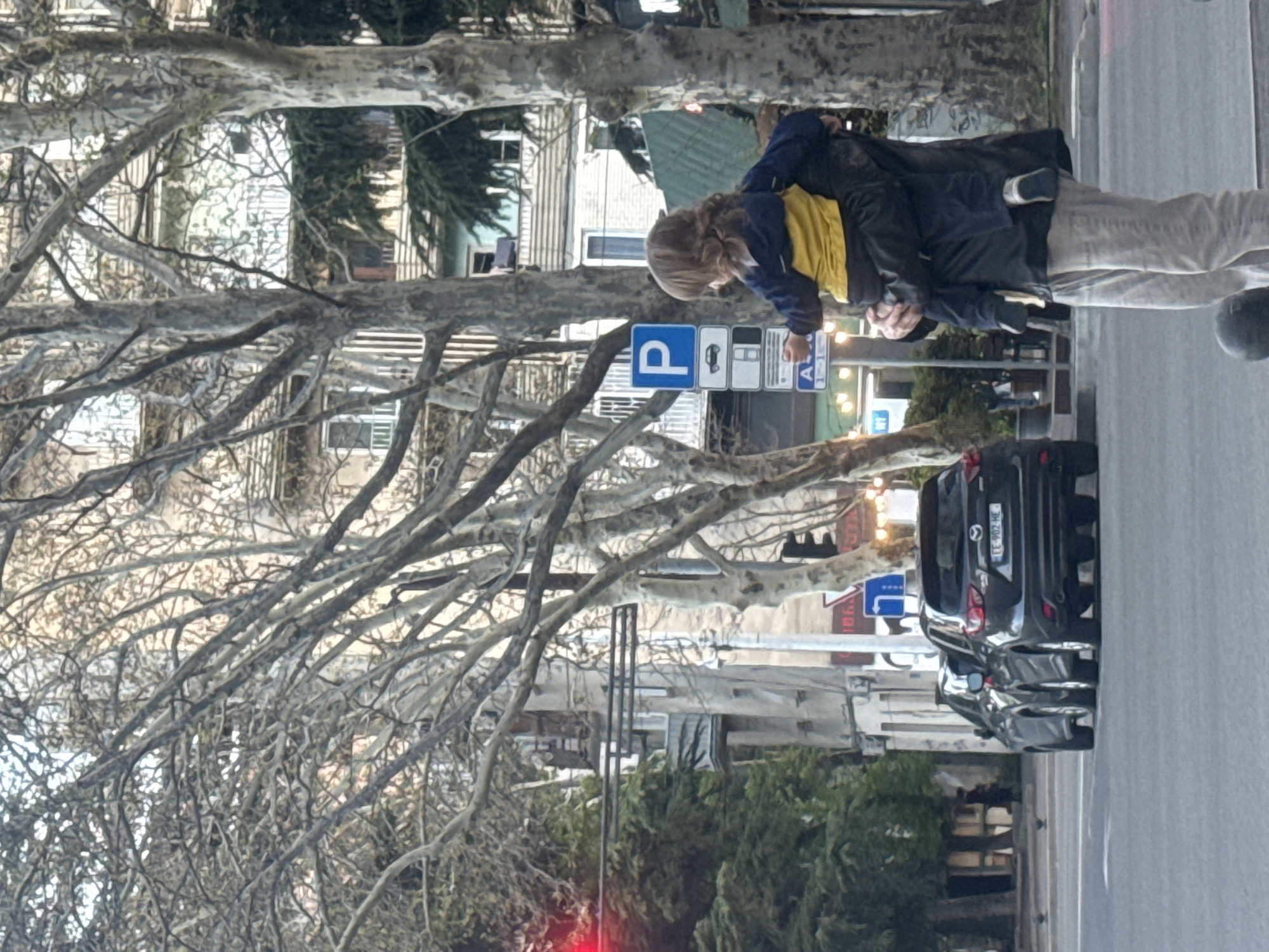 The image captures a street scene in what appears to be late autumn or winter, evidenced by the large, bare trees with intricate branches that dominate the foreground and midground. The perspective is rotated 90 degrees clockwise.
In the midground, an adult, viewed from the side, is seen wearing a dark jacket over a yellow shirt and light-colored pants. They appear to be interacting with a child, who is partially obscured in front of them, also dressed in a dark jacket. Both are standing near the edge of a paved road with a sidewalk to their right.
Behind the individuals, a series of road signs are clearly visible. A prominent blue square sign with a white 'P' indicates parking, accompanied by several white rectangular signs depicting a car symbol and time limits, along with the text "A1" on one of them, indicating specific parking regulations.
Further down the street, multiple cars are parked. The closest vehicle, a dark sedan (likely a Mazda CX-5), faces away from the viewer, and its Georgian license plate, "TE-902-HE", is clearly legible. In the background, various residential or commercial buildings with white and green facades are partially visible through the tree branches. A faint red glow, possibly from a traffic light, is discernable towards the bottom left of the image. The scene is brightly lit, suggesting daytime conditions. The license plate and overall urban environment are consistent with Tbilisi, Georgia.
