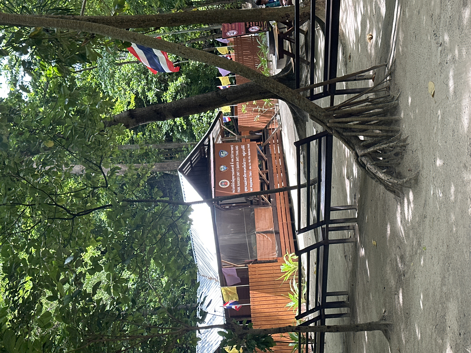 In Ao Nang, Thailand, a park ranger station is situated on a sandy beach amidst lush trees and vegetation. The station features a wooden structure with a metal roof, adorned with several flags, including the Thai flag. A signpost with Thai and English text indicates it is the Park Ranger Unit 5 (Maya Bay) Thailand, with the address Hat Noppharat Thara - Mu Ko Phi National Park. In front of the station, several wooden benches are arranged on the sand, some with dark metal legs. The foreground shows exposed tree roots and fallen leaves scattered on the sandy ground, with sunlight dappling through the tree canopy.