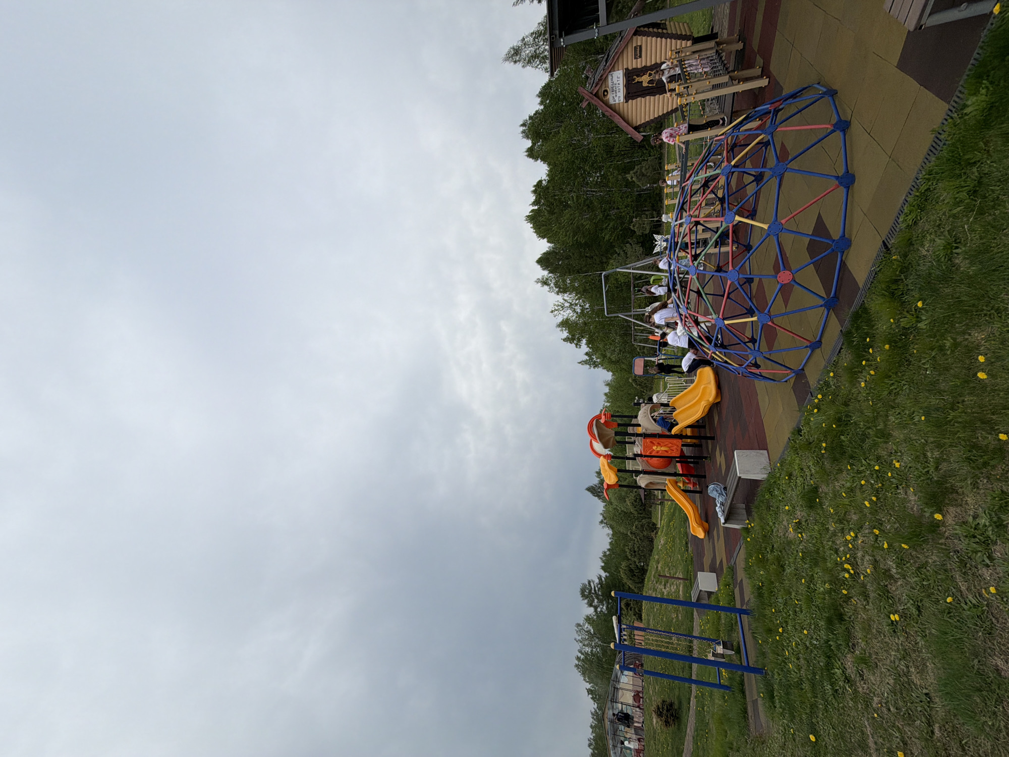 The image shows a playground area in Birobidzhan, Russia. Visible are various playground structures including a geodesic dome climber, slides, swings, and climbing frames. Children, some wearing white shirts, are present on or around the equipment. The playground is situated on a patch of green grass with yellow flowers growing and is bordered by trees. A small wooden building stands near the playground. The sky is overcast.
