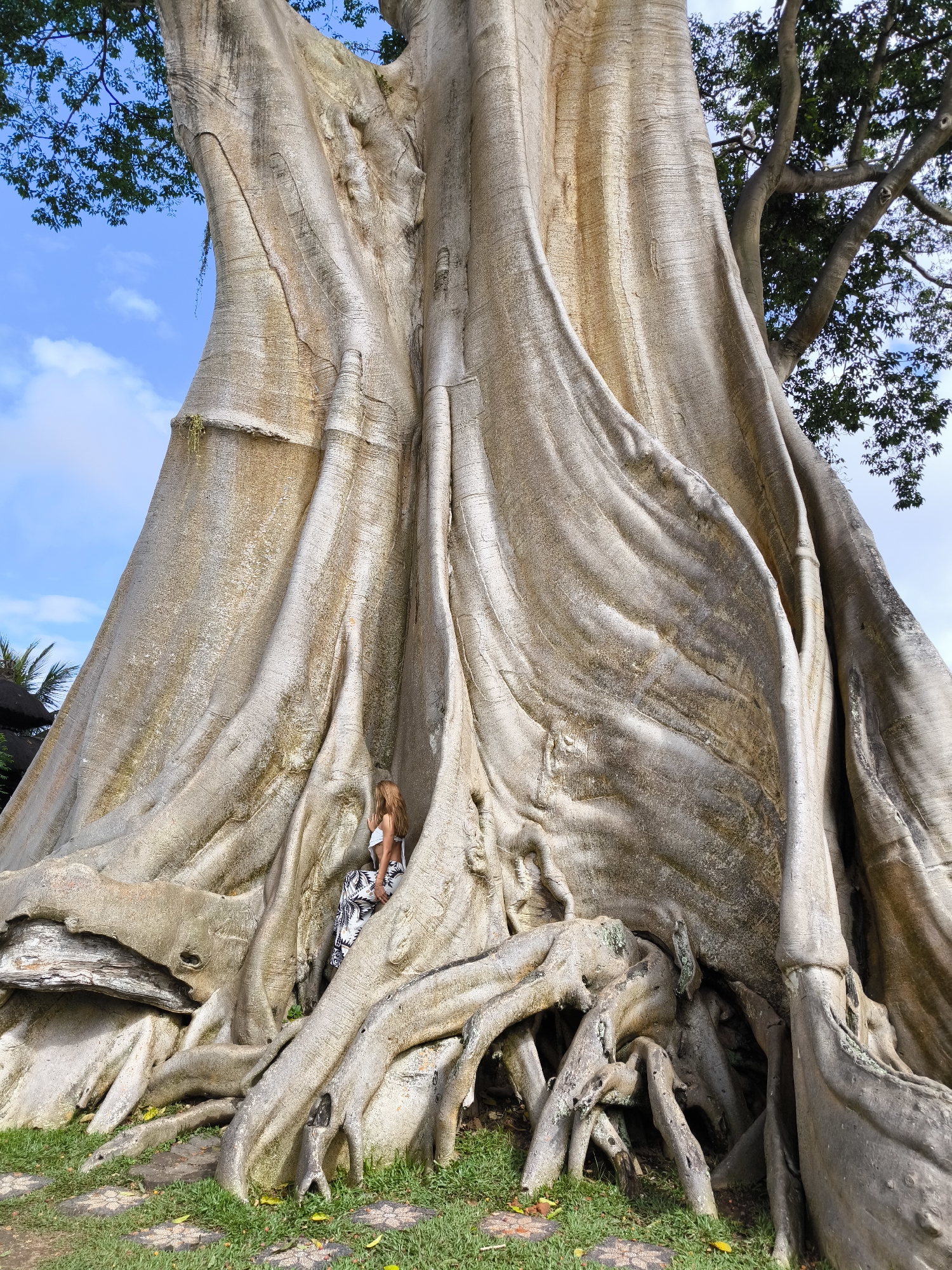 A woman with long brown hair, wearing a white top and patterned pants, sits nestled amongst the buttress roots of a very large tree. The tree's trunk is massive and textured, with prominent, gnarled roots spreading out across the grassy ground. The scene is set outdoors with a blue sky and some clouds visible above the tree canopy. The location is identified as Marga, Indonesia.