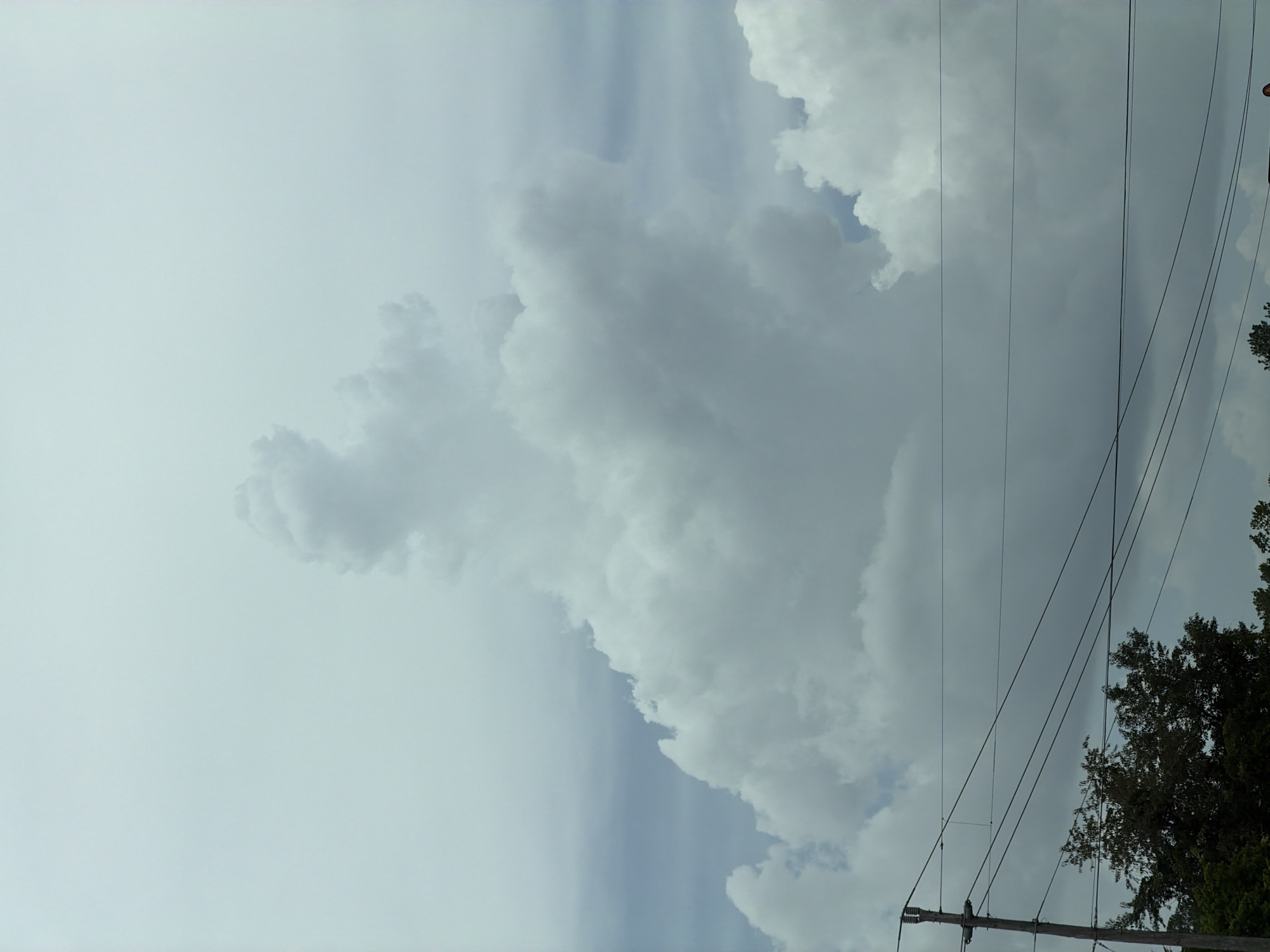 A wide-angle, eye-level shot captures a cloudy sky above Laurel Hill, United States of America. In the foreground, power lines stretch horizontally across the frame, supported by a utility pole on the left. Dense green foliage from trees is visible at the bottom of the image, partially obscuring the ground. The sky is filled with large, white, cumulus clouds, with a particularly prominent cloud formation in the center that resembles a figure. The overall atmosphere is overcast, with a muted light.
