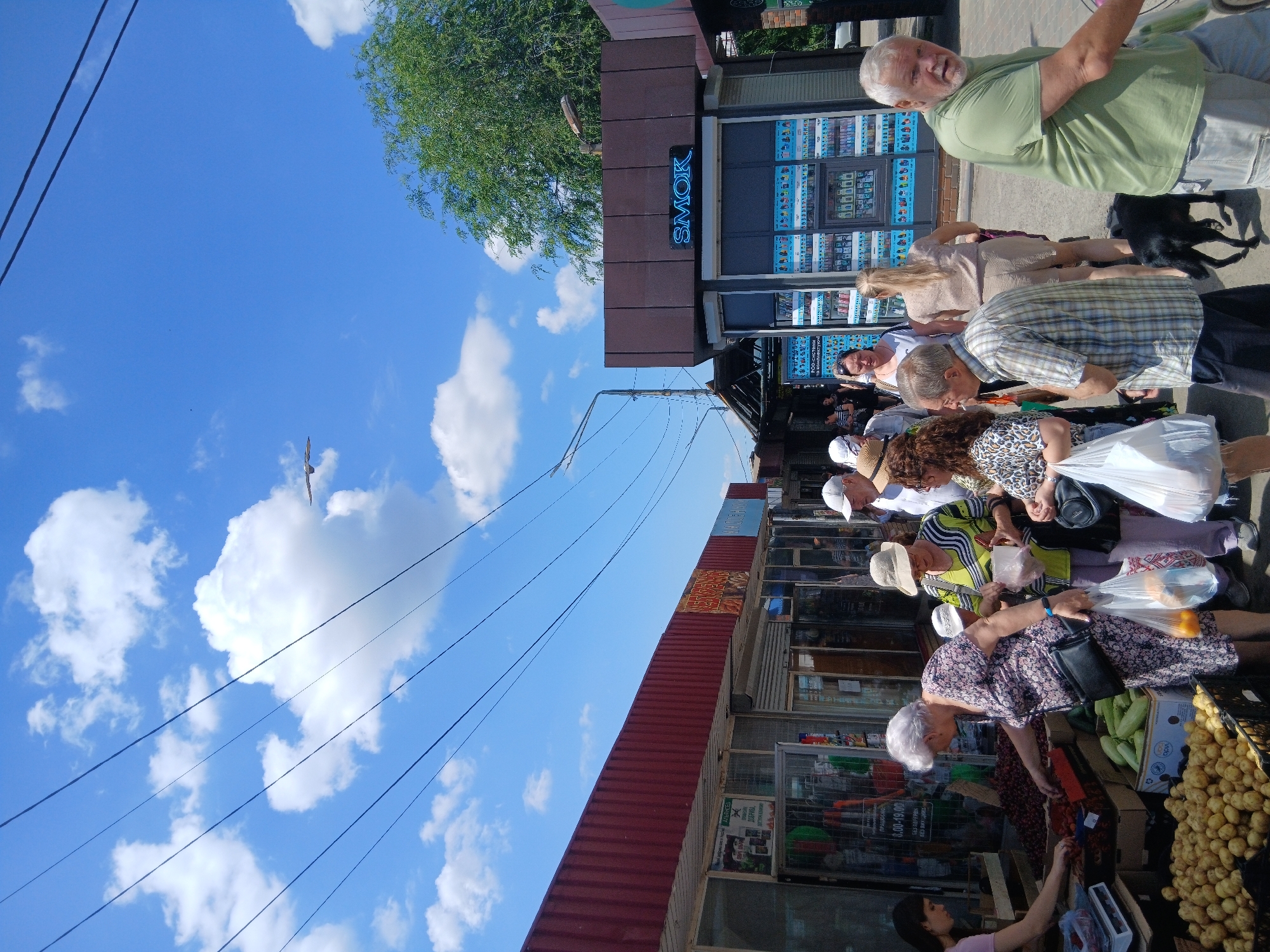 This is a medium-shot, eye-level, outdoor photograph taken in the city of Dnipro, Ukraine. The scene depicts a bustling outdoor market on a sunny day. A flock of clouds dots a vibrant blue sky, with power lines crisscrossing overhead. A bird is captured in mid-flight in the upper portion of the frame.
In the foreground, a variety of fresh produce is displayed, including potatoes in crates and what appear to be zucchini or cucumbers. Several people are browsing and shopping at market stalls. To the left, a vendor with dark hair, wearing a pink shirt, is interacting with a customer who is reaching for fruit. Several shoppers, including an older woman in a floral dress holding grocery bags and an older man in a plaid shirt, are visible. A small black dog is walking behind the man.
In the mid-ground, various market stalls are lined up, with awnings and signs visible. One stall has a prominent "SMOK" sign in neon blue. The stalls appear to be selling a range of goods, with displays of packaged items visible inside some of them.
In the background, more market stalls and buildings extend into the distance. A large green tree is visible on the right side of the image. The overall impression is one of a lively, everyday market scene in a Ukrainian city.