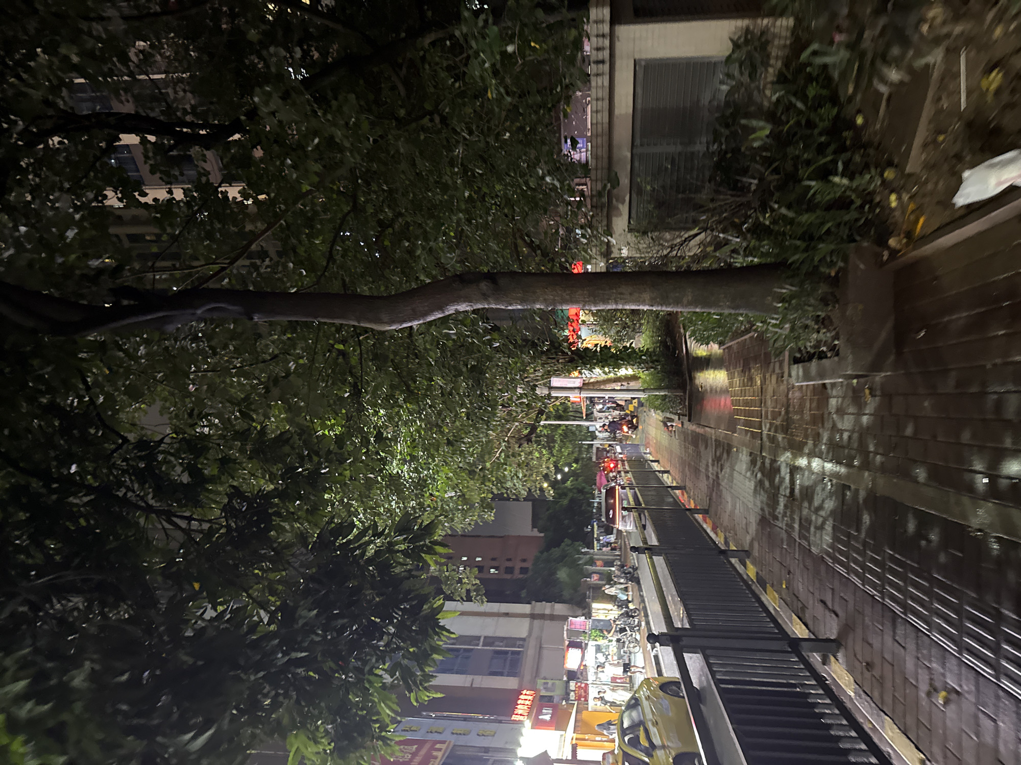 The image depicts a street scene at night in Haizhu District, China, following rainfall, as evidenced by the wet, reflective pavement. A sidewalk made of reddish-brown brick pavers runs along the left side of the frame, bordered by a black metal railing. Beyond the railing, a street is visible with several vehicles, including a yellow car and motorcycles. On the right side of the sidewalk, lush green foliage and the trunk of a mature tree are prominent. In the background, buildings with illuminated windows suggest urban development. A few people are present on the sidewalk, and some appear to be walking or standing near shops lining the street. Red lanterns and signage on the buildings indicate a commercial area. The overall atmosphere is dimly lit, typical of a nighttime urban environment.