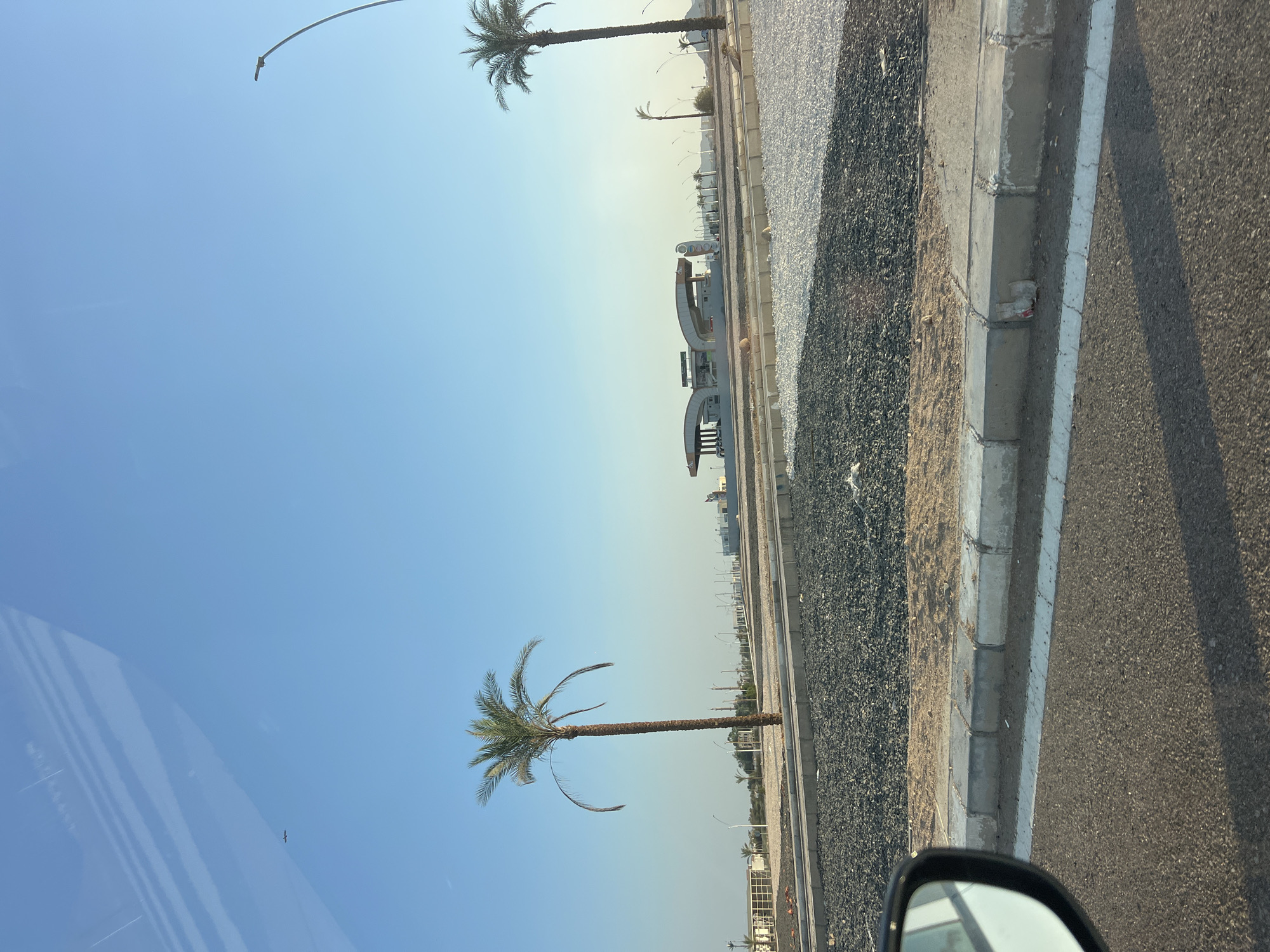 The image depicts a street scene in Sharm El Sheikh, Egypt, under a clear blue sky. The foreground features asphalt road with a curb and a gravel area. A single palm tree stands prominently on the left, with its fronds casting a shadow. In the middle ground, there is a modern-looking structure with curved roofs, possibly a public facility or station, flanked by more palm trees and streetlights. The background shows distant buildings and a vast, open landscape. The overall scene suggests a sunny day in a developed area of the city, likely with a focus on infrastructure and public spaces.