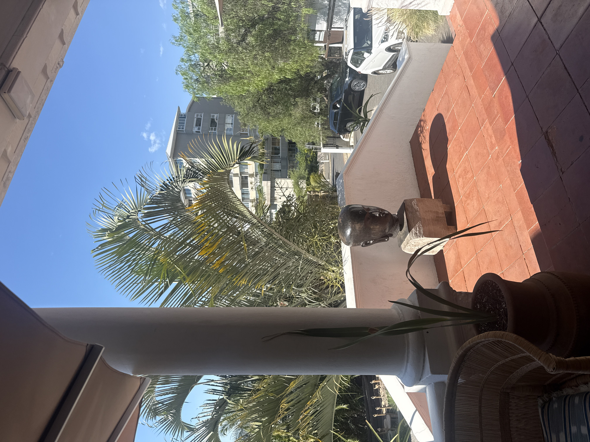 A partially obstructed, outdoor photograph shows a section of a veranda on a sunny day in what appears to be Cape Town, South Africa. The camera's viewpoint is from under a covered veranda, with a palm tree obscuring much of the background. A modern, multi-story building can be seen between the fronds of the palm tree. Parked cars are visible on the street.
On the veranda, there is a terracotta-tiled floor. A white railing lines the edge, and a dark-colored bust sits on a wooden block on the railing. Adjacent to the bust is a potted plant containing tall, slender leaves. To the right of the plant pot, there is a woven chair.
