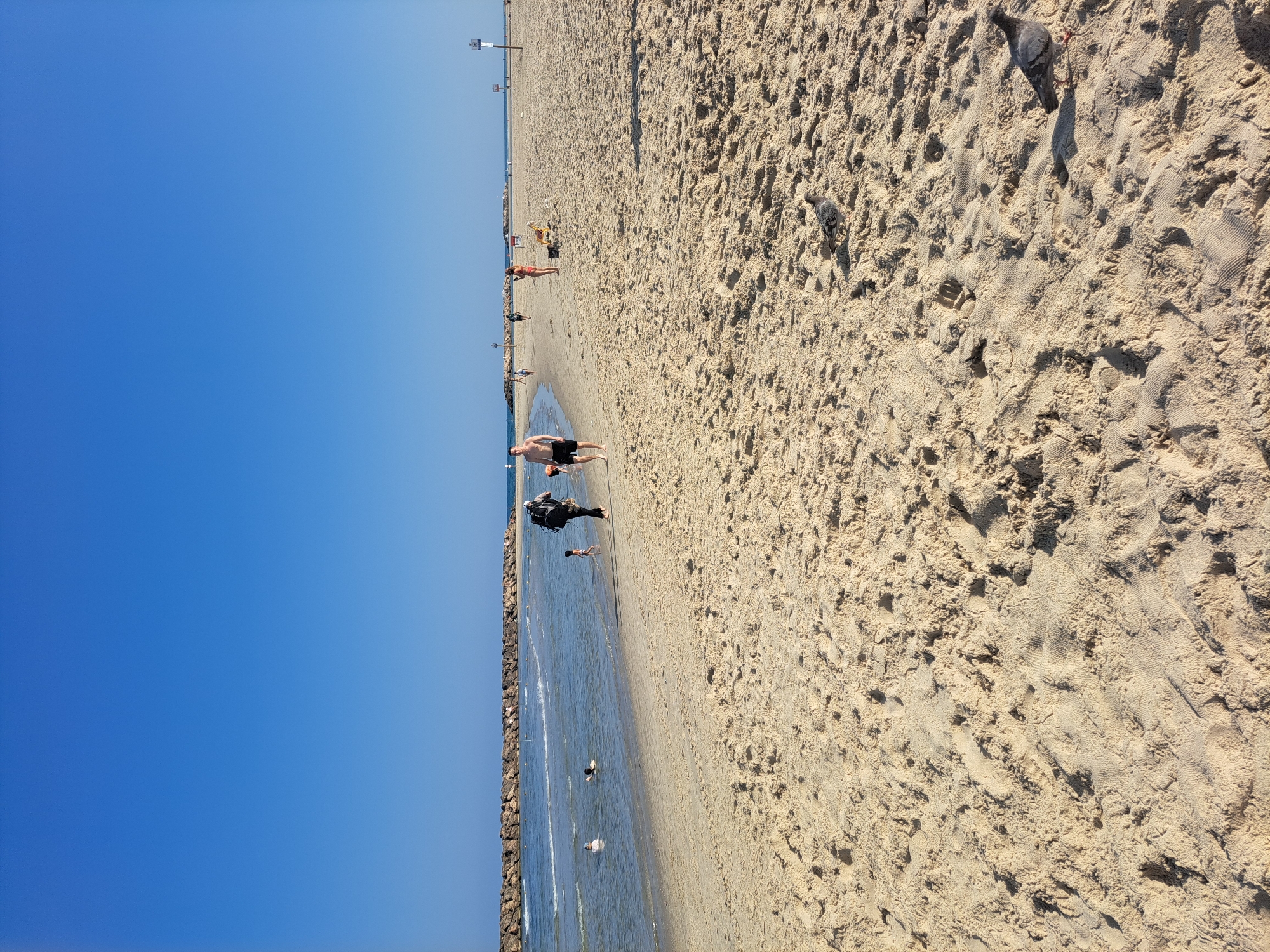 This is a photograph of the beach in Herzliya, Israel, under a clear blue sky. The foreground is dominated by sand with numerous footprints, indicating recent activity. A pigeon is visible on the sand in the lower right corner. In the middle ground, the gentle waves of the sea lap at the shore. Several people are present: two individuals are partially submerged in the water, appearing to be swimming or wading. A child stands near the water's edge, facing the sea. Further back on the beach, a person walks away from the camera, carrying a large backpack. Another individual, a man wearing black shorts, walks towards the viewer on the wet sand near the water. In the distance, a breakwater made of large stones extends into the sea, separating the calmer water of a bay from the open sea. The horizon is marked by the distant sea and sky, with a few distant figures and structures suggesting a developed coastline.
