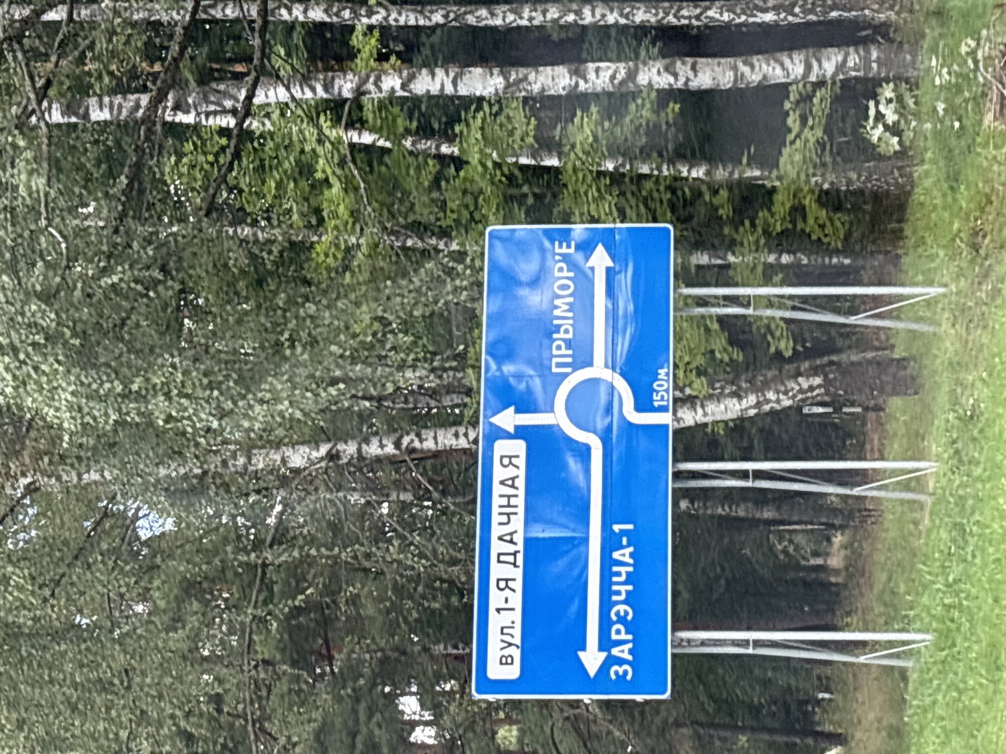 A blue road sign is positioned in front of a wooded area with birch and pine trees. The sign has white text and directional arrows indicating two routes. The left side of the sign reads "вул. 1-Я ДАЧНАЯ" with an arrow pointing straight up, and "ЗАРЭЧЧА-1" with an arrow pointing to the left. The right side of the sign reads "ПРЫМОР'Е" with an arrow pointing to the right. Below the right-pointing arrow, the distance "150м" is indicated. The sign is supported by two metal poles. The ground in front of the sign is covered in grass and some dry leaves. The background consists of a dense forest.