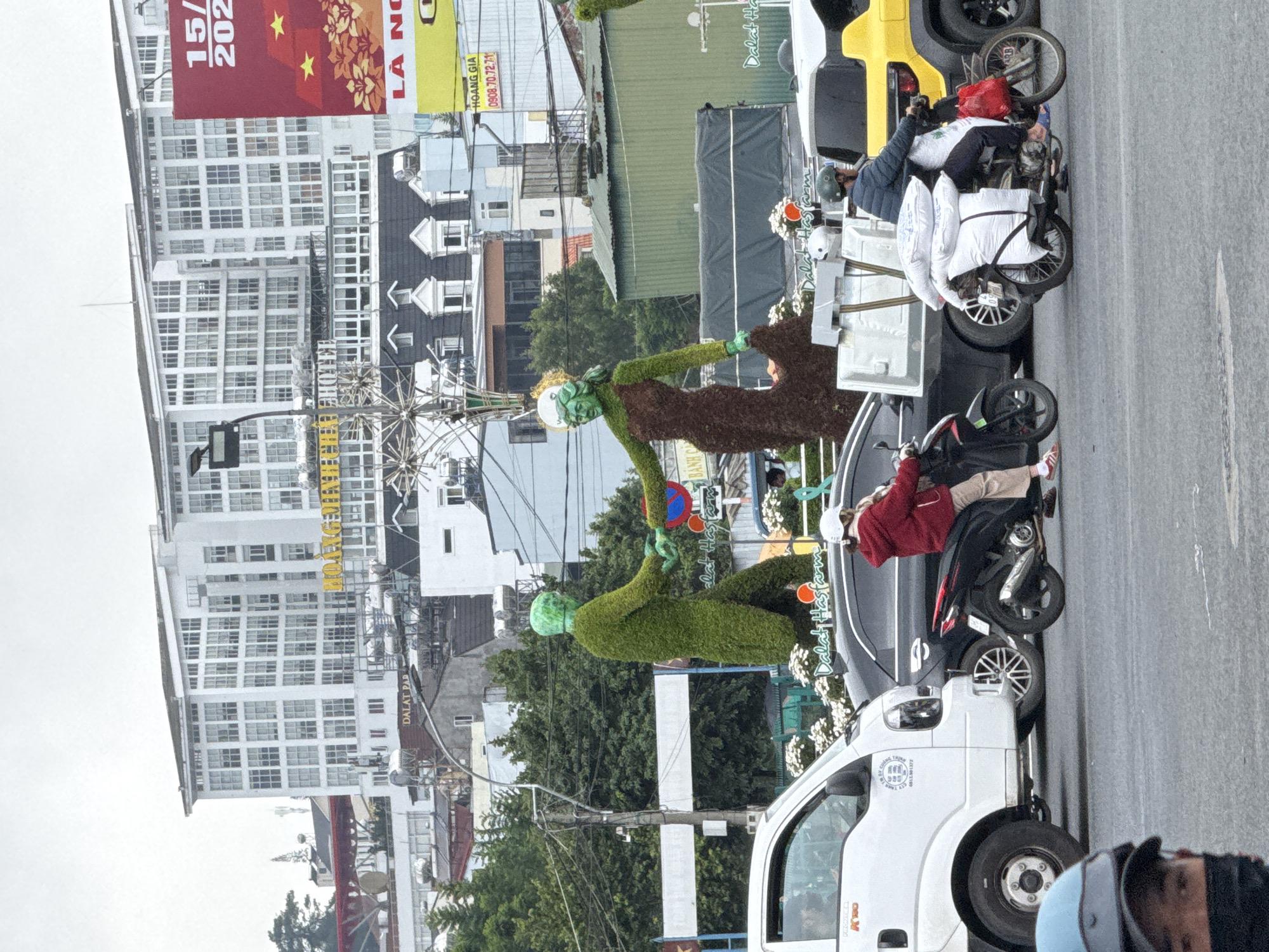 This media file captures an overcast daytime street scene in Da Lat, Vietnam, characterized by a mix of modern and traditional architecture, street art, and urban activity.
In the foreground and midground, a paved road features several vehicles. A white light truck or van is prominent on the right, displaying text like "KWO" and a phone number "0811501372". Behind it, a dark grey car is visible, next to which a person in a red jacket is situated on a black motorbike. Further back, another motorbike carries large white packages or pillows, with a person onboard. A person in a blue helmet is partially seen in the bottom right, facing away from the street.
The most distinctive elements are two large, humanoid topiary figures made of green plants with white faces, positioned along a median or sidewalk. One figure appears to be standing and reaching, while the other is in a crouched or seated pose. Nearby, signs with "Dalat Hasfarm" are visible, suggesting a connection to floral or agricultural businesses.
The background is dominated by various buildings. On the left, a tall, modern white building with numerous windows stands out, featuring a large red banner with "15/", "202", "LÀ N", and two yellow stars, possibly indicating a date or event. Other smaller buildings with dark roofs and gables are interspersed with lush green trees. Additional visible text includes "HOANG GIA" and a phone number "0908.70.72.71" on a yellow sign, and "DALAT PAD" on another building sign. The overall scene depicts a bustling urban environment with unique decorative elements, likely part of a public display or celebration.