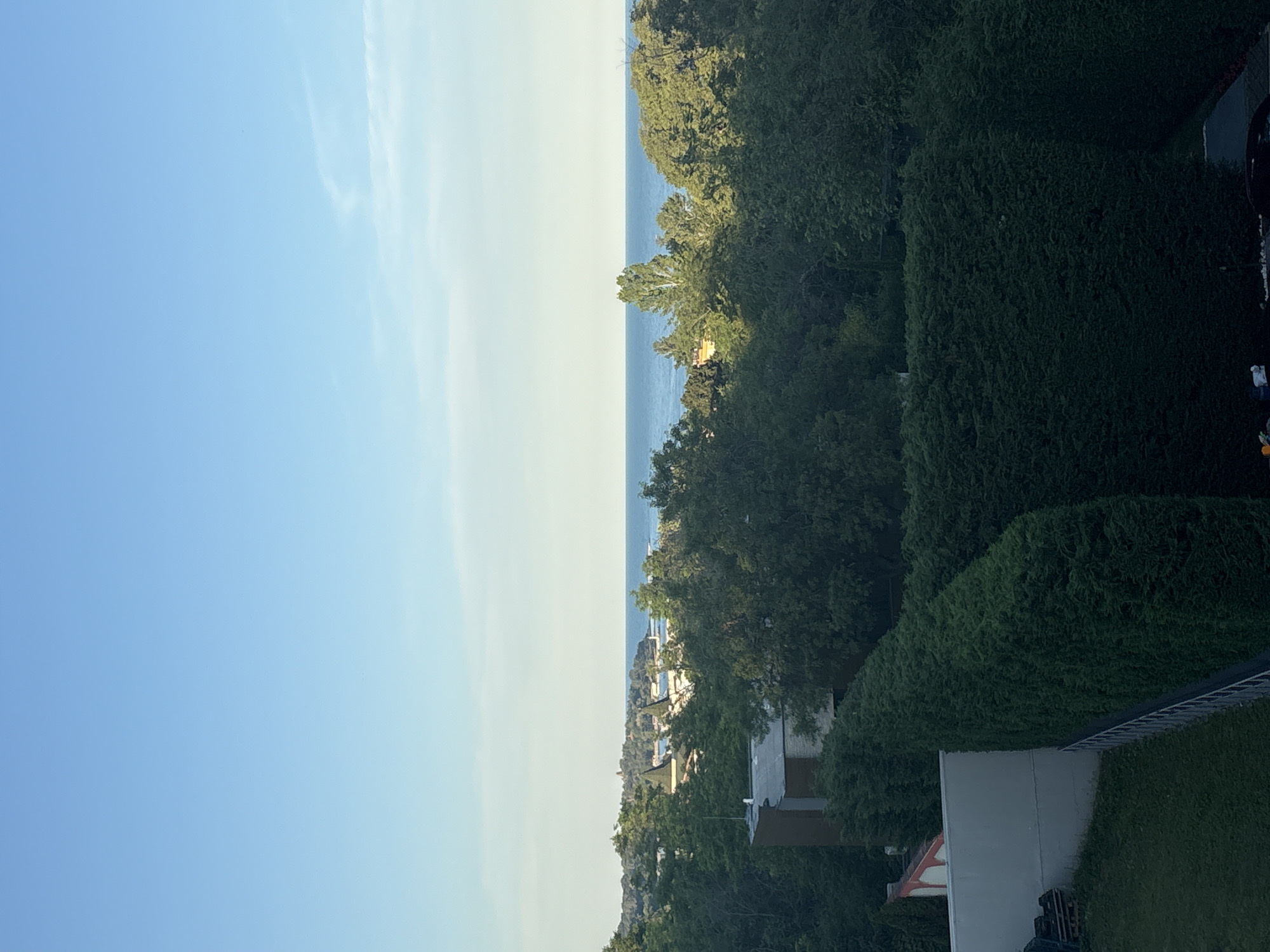 This image shows a wide shot of a landscape with a clear blue sky and a body of water. In the foreground, there is a large, manicured green hedge casting a shadow. To the left of the hedge is a light-colored wall and some green grass. Behind the hedge and wall, there are several trees, some of which are tall and lush. Further in the background, a few buildings with distinctive roofs are visible among the trees. The horizon is marked by the line where the trees meet the calm, blue sea. The sky is a pale blue with a faint white wisp of a cloud in the upper right quadrant. The overall impression is of a peaceful outdoor scene.