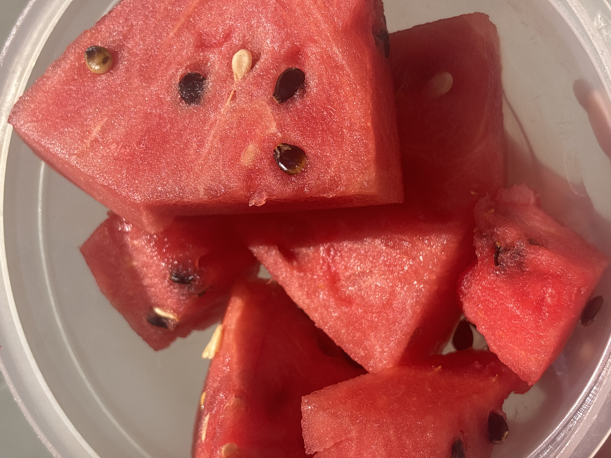 The media file presents a close-up, top-down view of several pieces of fresh watermelon contained within a clear plastic container. The primary subjects are the watermelon slices, which display a vibrant, deep red color with a textured, juicy appearance. Numerous seeds are visible within the flesh of the watermelon; some are dark brown to black, while others are lighter, appearing white or pale yellow.
The watermelon pieces are cut into various irregular shapes, predominantly triangles and polygons, and are arranged somewhat haphazardly in the container. The clear plastic container features subtle ridges along its rim and sides, and its transparency allows light to pass through, creating gentle reflections. The scene is brightly lit, accentuating the natural sheen and moisture of the watermelon.
No specific activity is depicted, but the cut and contained watermelon suggests it has been prepared for eating or storage. There are no visible people or discernible weather conditions. No text is present in the image. The location context for this media file is Sofia, Bulgaria.