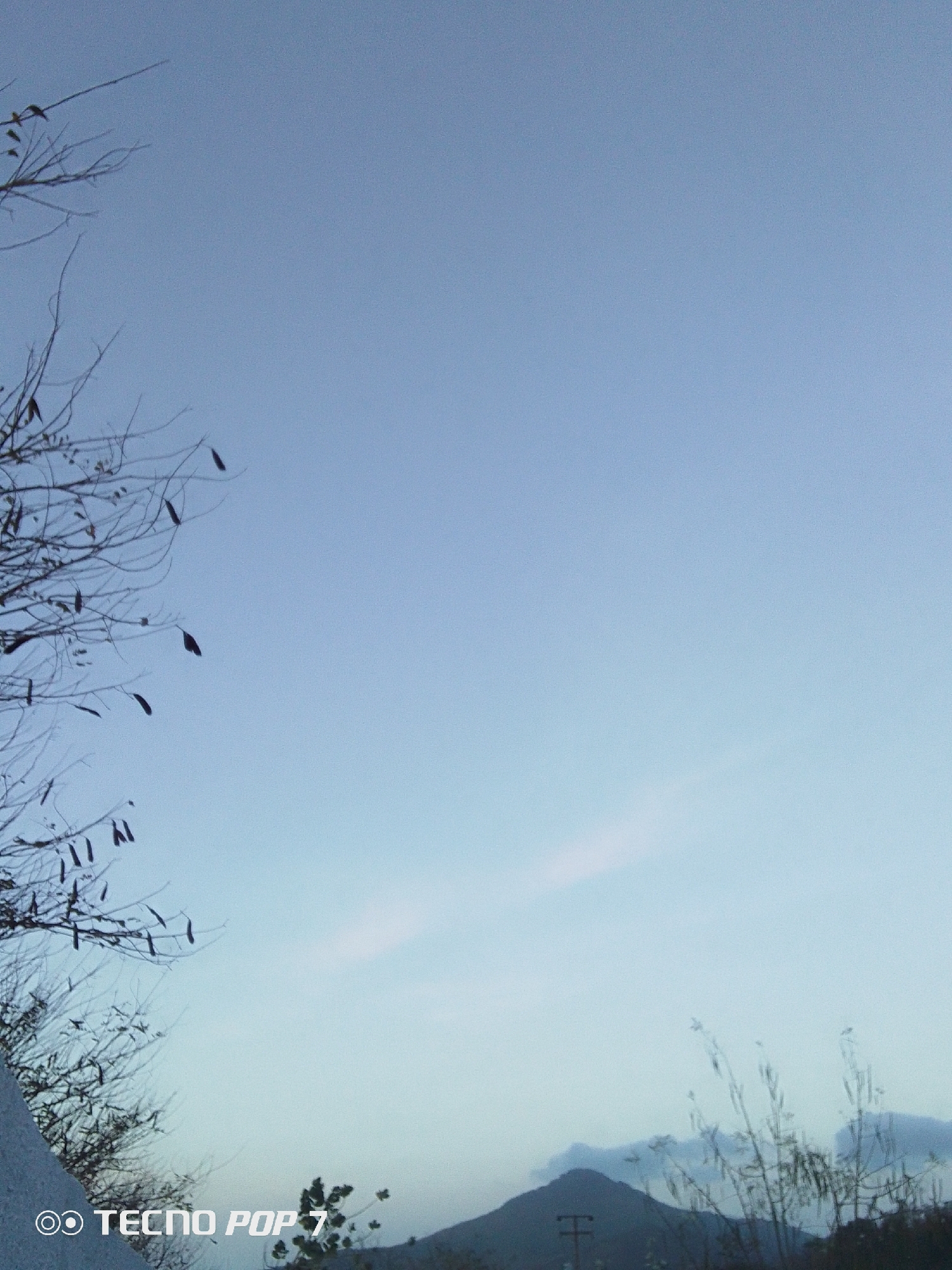 The image shows a view of the sky in Altagracia, Venezuela, likely taken near dusk or dawn given the soft, pale blue light. In the lower left corner, there is a bare tree with seed pods hanging from its branches. At the bottom of the frame, a section of what appears to be a white wall or structure is visible. In the bottom right, there are tall grasses and sparse shrubs, beyond which lies a distant, hazy mountain silhouette. There also appears to be a power pole visible in the bottom right. The sky is largely clear, with a faint streak of cloud near the center of the frame. In the lower-left corner of the image, “TECNOC POP 7” is overlaid, indicating the device used to capture the image.