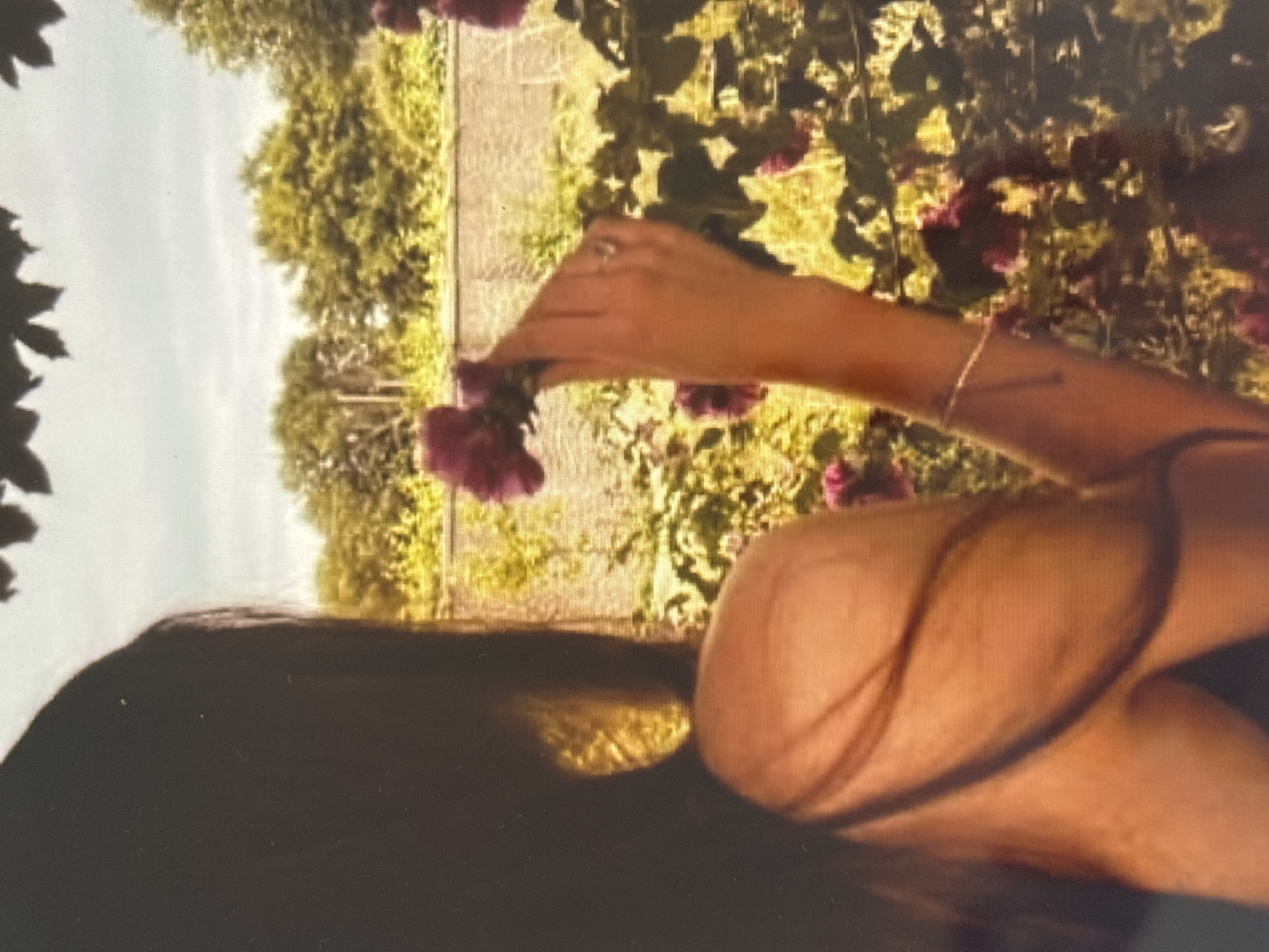 In an outdoor setting, a person with dark hair is partially visible from the side, facing away from the camera. They are reaching out with their right hand, which is adorned with a ring, to touch a cluster of purple flowers. The background features a stone wall and lush green foliage, suggesting a garden or natural landscape. The lighting is bright, indicating daylight.
