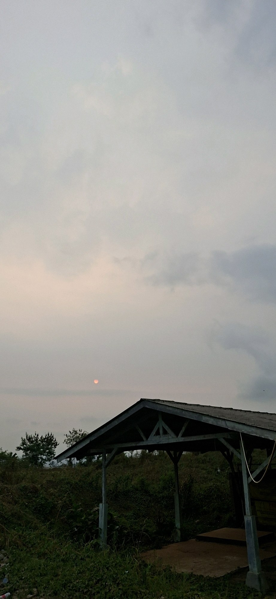 An overcast sky, tinged with the soft hues of either dawn or dusk, dominates the upper portion of the frame. A muted, pale orange sun is visible low in the sky, partially obscured by clouds. In the foreground, a rustic, open-sided shelter with a dark, sloped roof stands on a slightly elevated grassy knoll. The shelter's roof is supported by dark wooden posts. The area around the shelter is overgrown with dense green vegetation, including tall grasses and various plants. Two silhouetted trees are present on the left side of the shelter, further back on the knoll. The ground beneath the shelter appears to be a concrete or packed dirt surface. The overall impression is one of a rural or semi-rural landscape, possibly a rest stop or lookout point in the vicinity of Ciheulang Tonggoh, Indonesia, characterized by its natural, untamed flora.