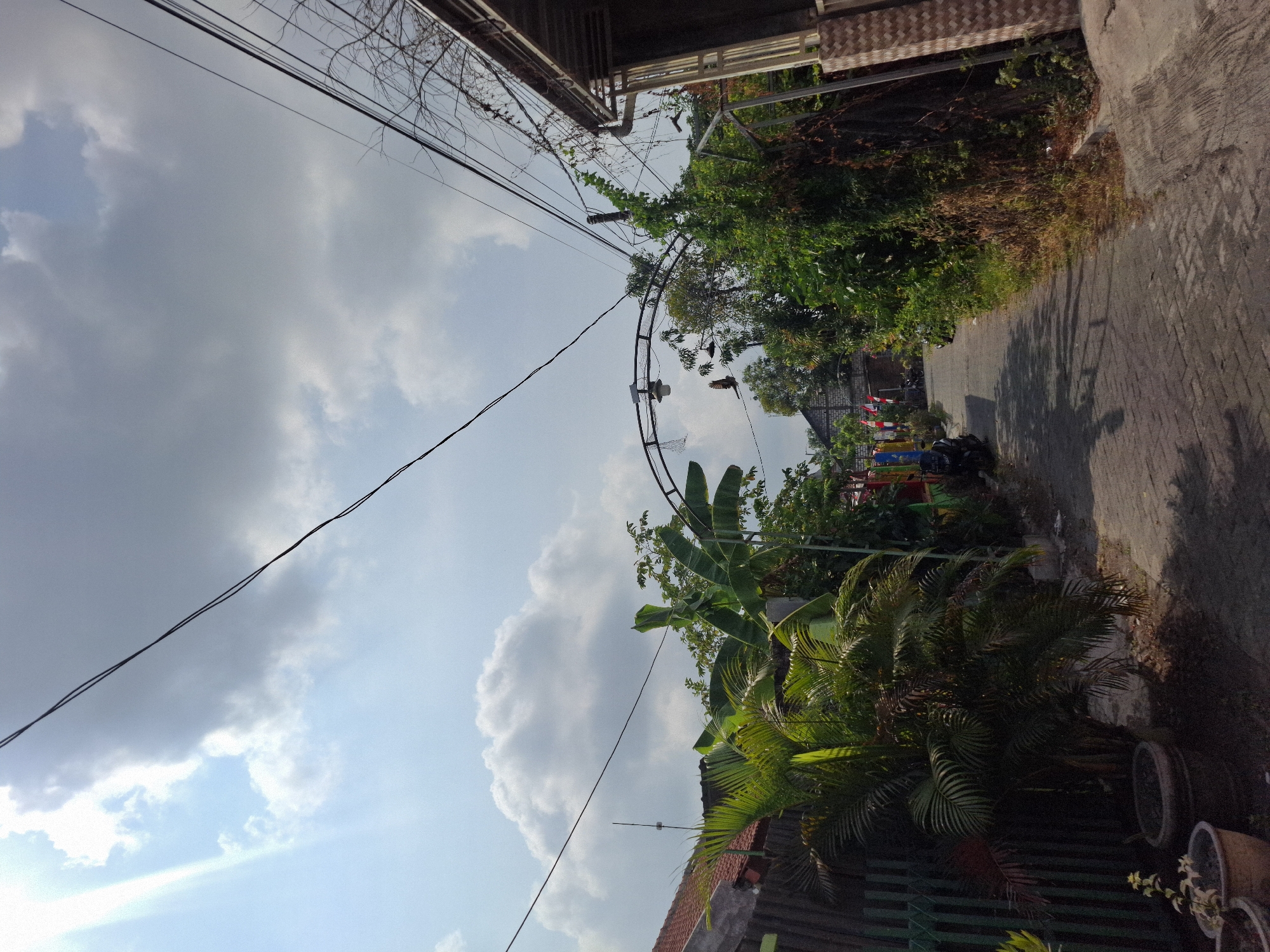 This is a street-level view of a narrow, paved alleyway in a residential area, likely within the city of Lamongan, Indonesia. The alley is lined with dense vegetation on both sides, including palm trees, banana trees, and various bushes. There are houses with red-tiled roofs visible on the left. Overhead, a network of power lines crisscrosses the sky. An arched structure with lights spans the alleyway in the mid-ground, and several flags are displayed along the sides of the street. Two motorcycles are parked on the left side of the alley. The sky is partly cloudy with bright sunlight casting shadows on the ground. The overall impression is of a tropical, urban residential setting during daylight hours.